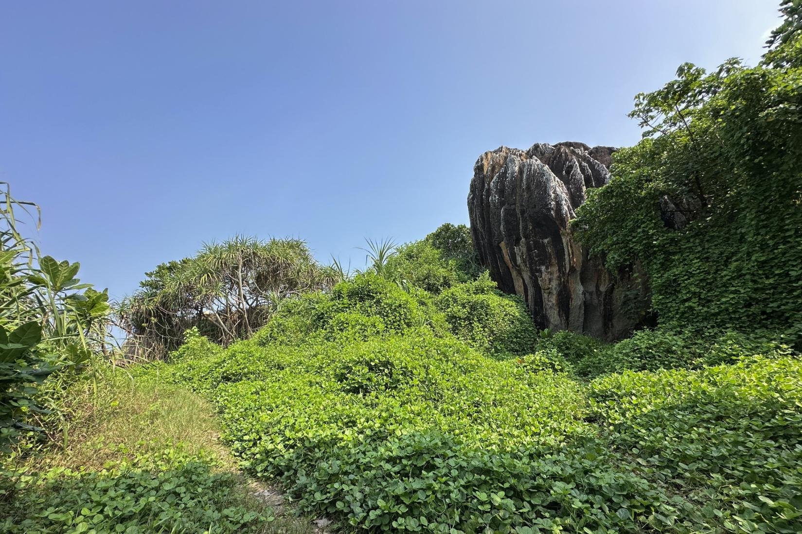 Beachfront land for sale | Balapitiya | Sri Lanka | (222) 28.jpg