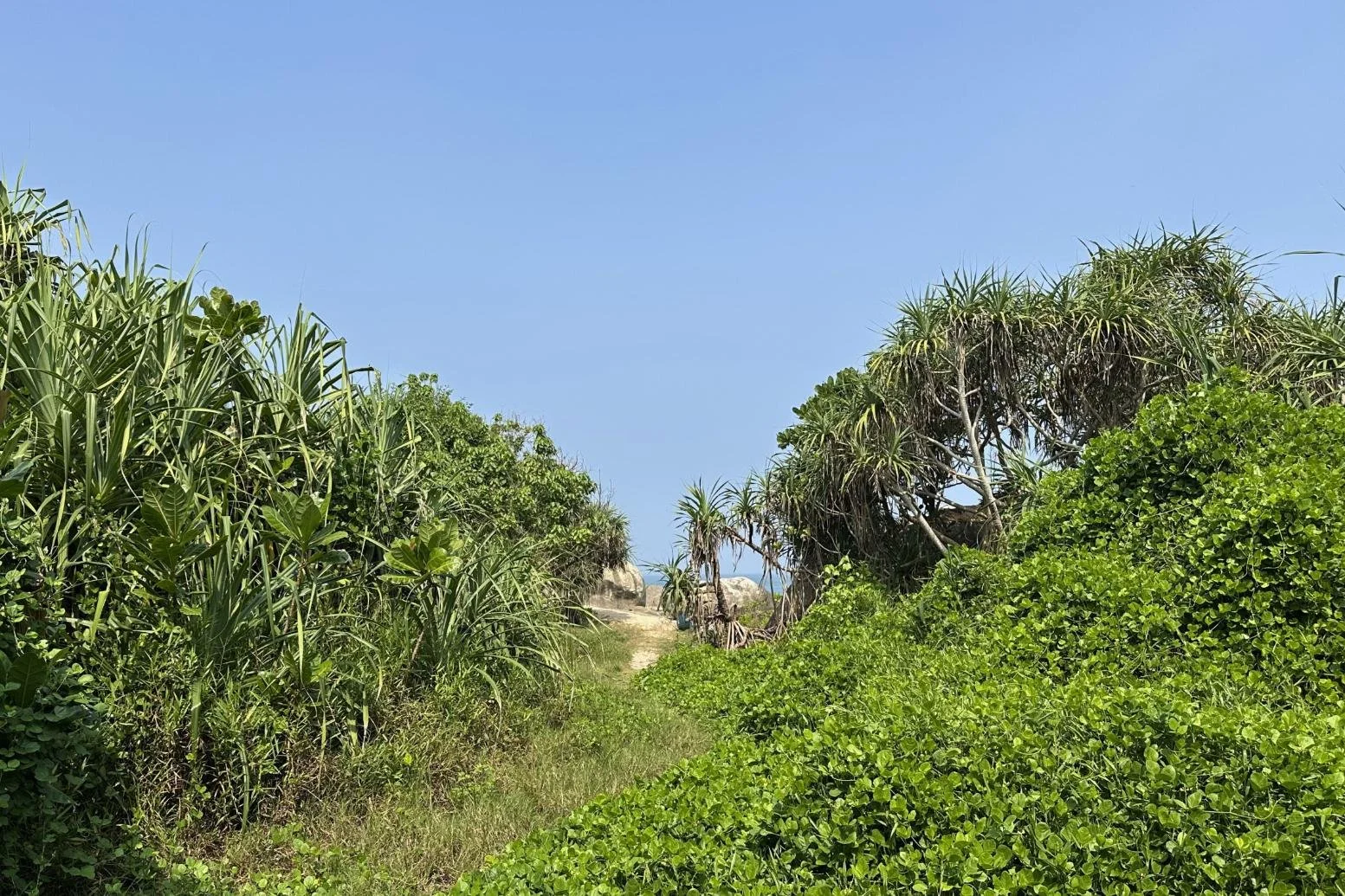 Beachfront land for sale | Balapitiya | Sri Lanka | (222) 29.jpg