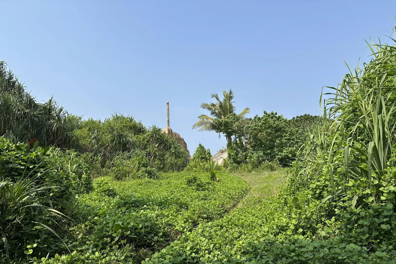 Beachfront land for sale | Balapitiya | Sri Lanka | (222) 30.jpg