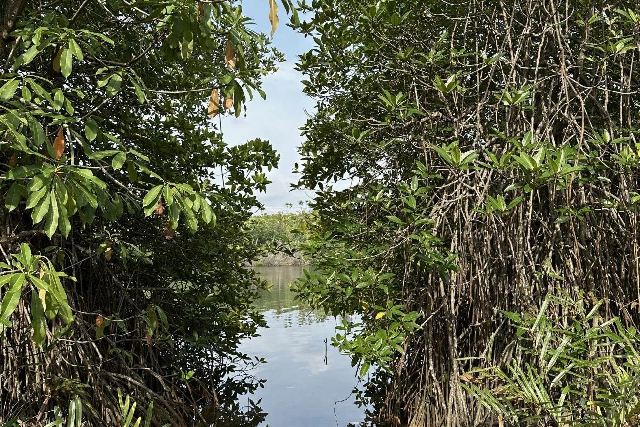 Koggala lakefront land for sale | Koggala | (220) 8.jpg