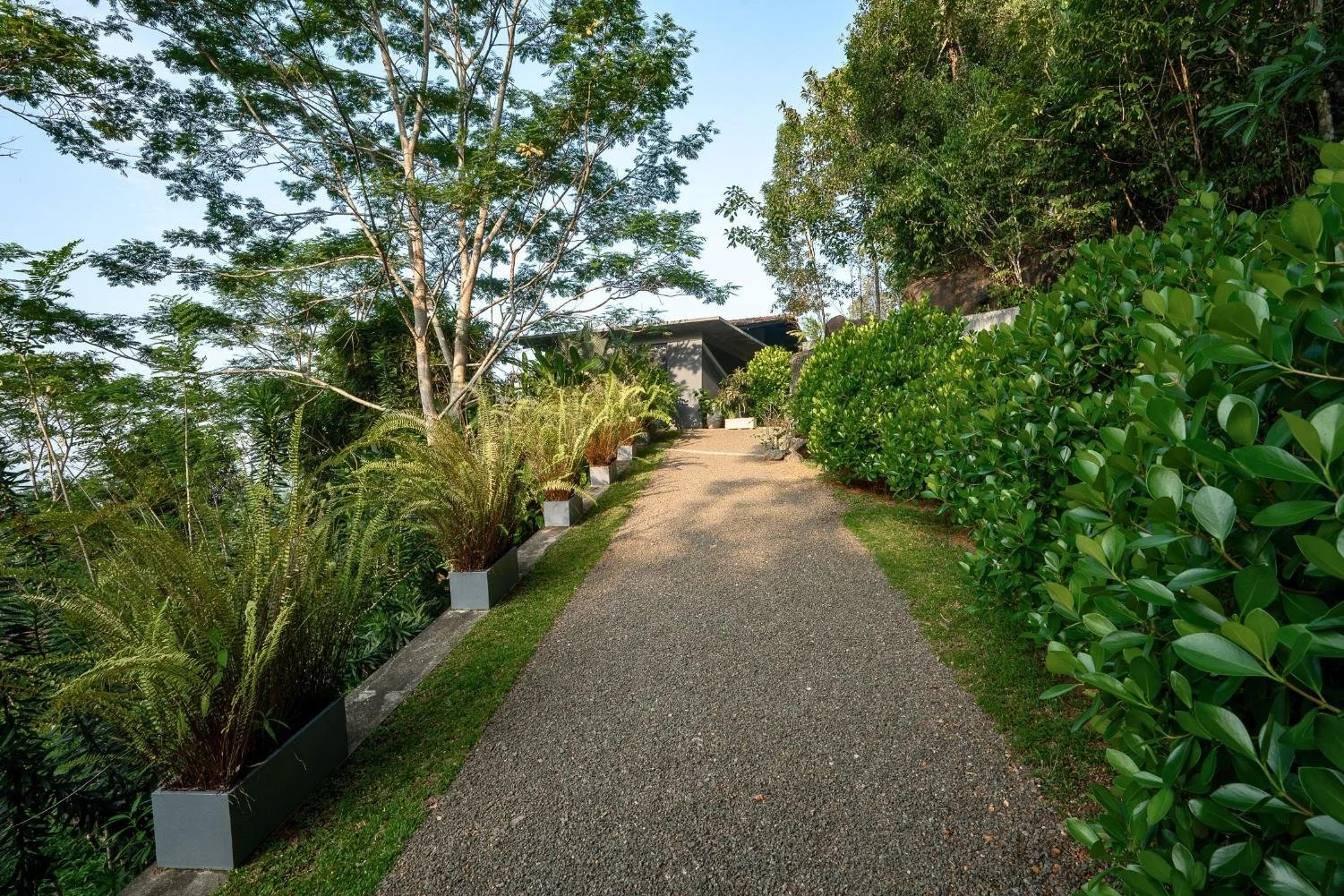 Villa and estate for sale | Galle | Sri Lanka | (PM19) 30.jpg