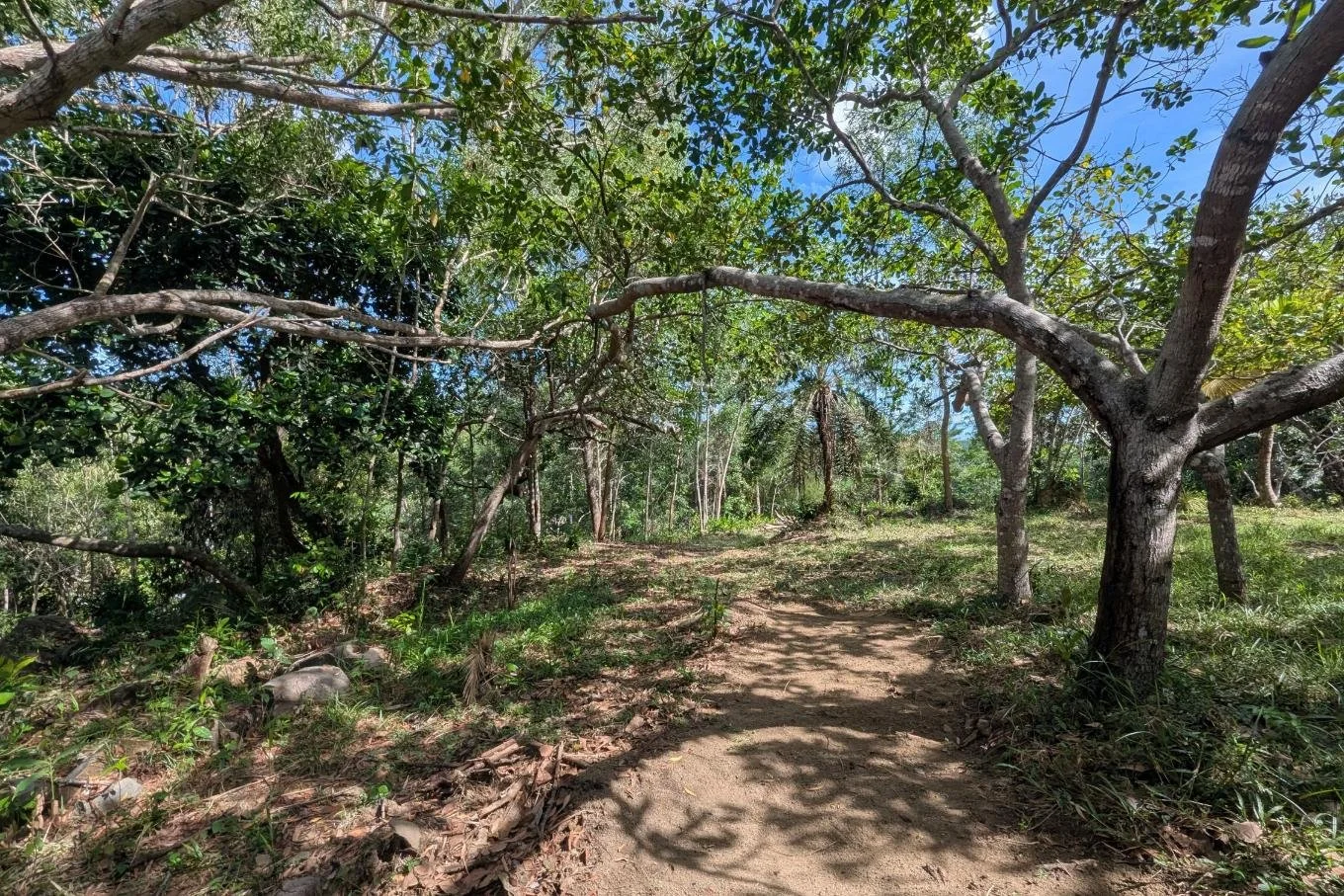 Kalahe hilltop land for sale | Galle | Sri Lanka | (233) 7.jpg