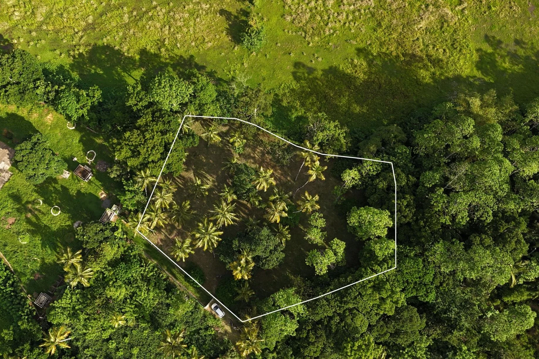 Heenatigala paddy land for sale | Galle | Sri Lanka | (239) 1