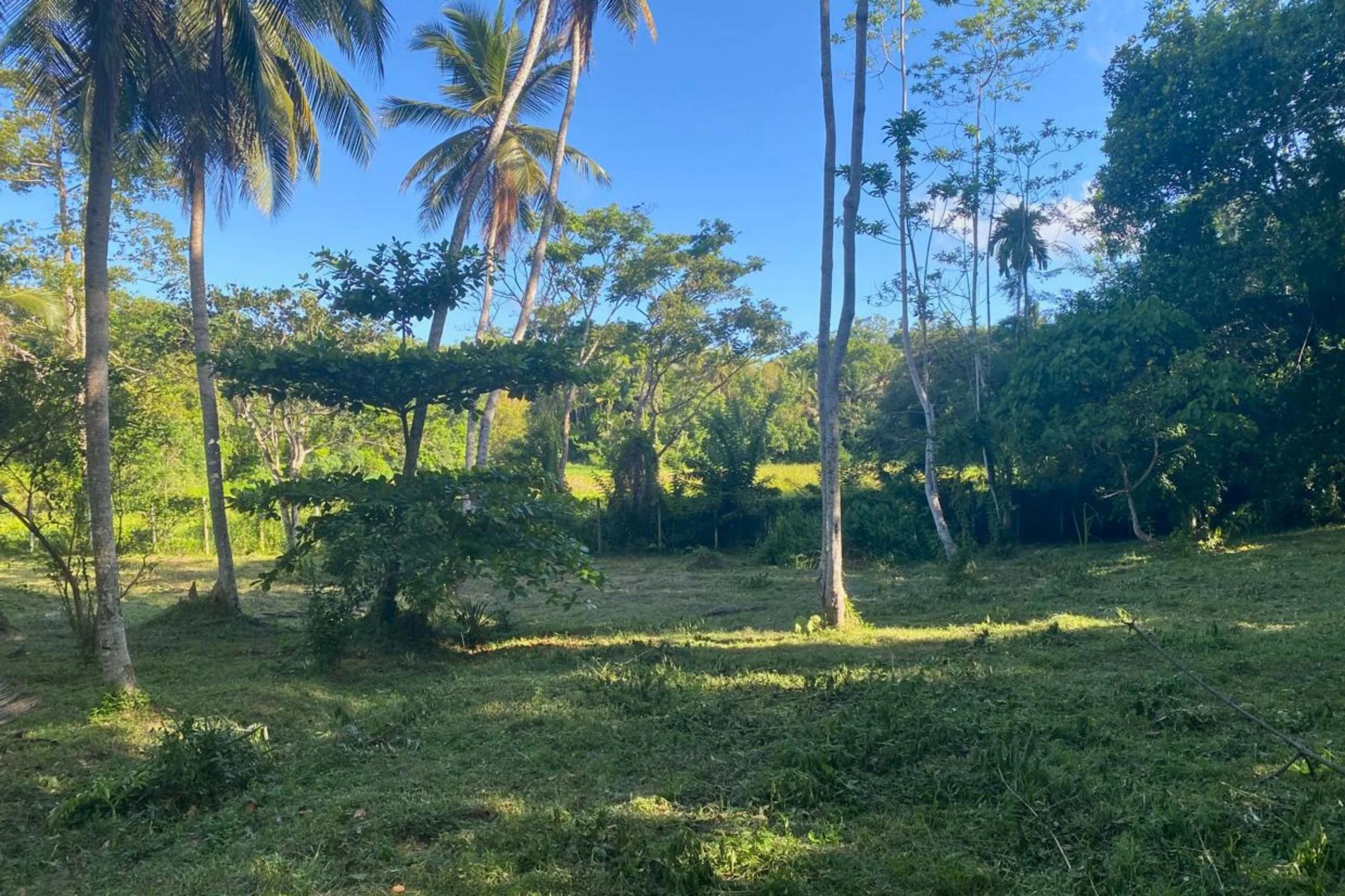 Heenatigala paddy land for sale | Galle | Sri Lanka | (239) 5
