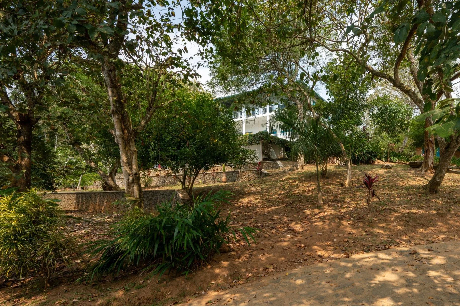 oceanview villa for sale | Mawella | Sri Lanka | (250) 3