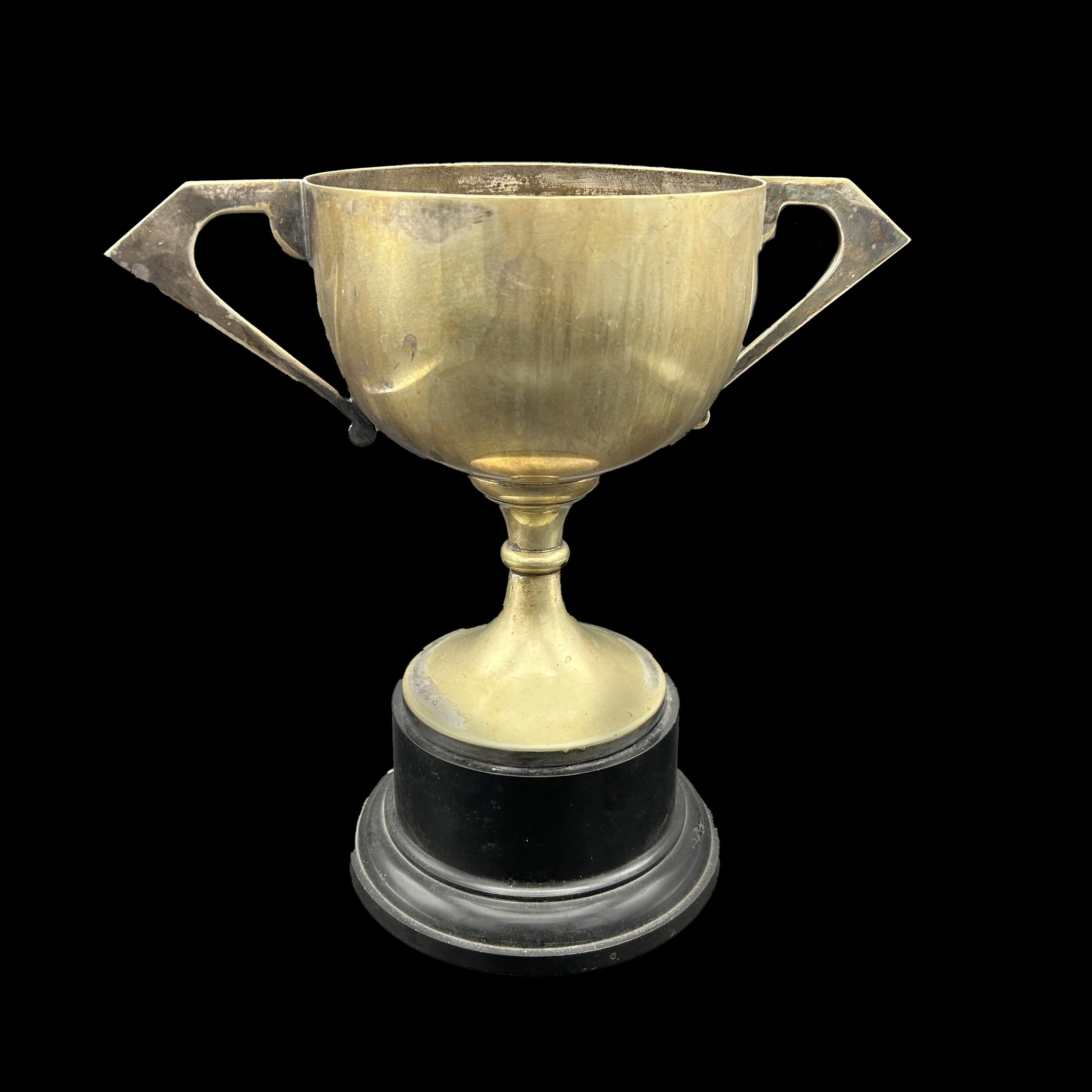 Llangoed &amp; District Chrysanthemum Trophy