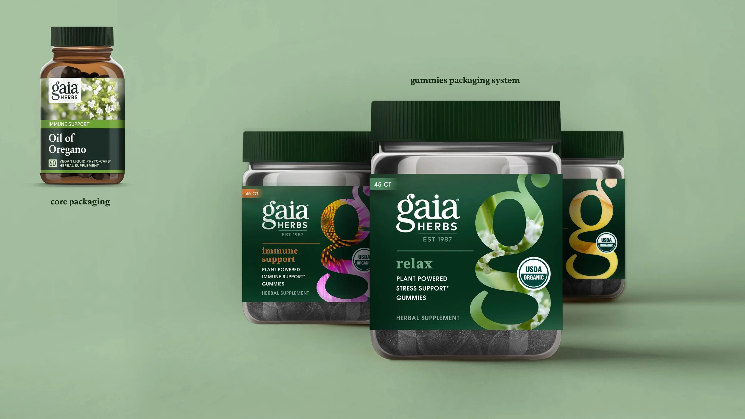 672823ab0bf5c82fcea9ea25_Gaia_WEB_for KATIE-04.jpg