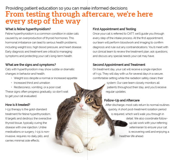 Screenshot 2025-12-26 113715.png