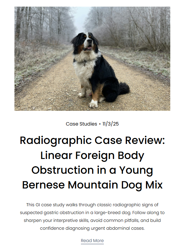 Screenshot 2025-12-26 113221.png