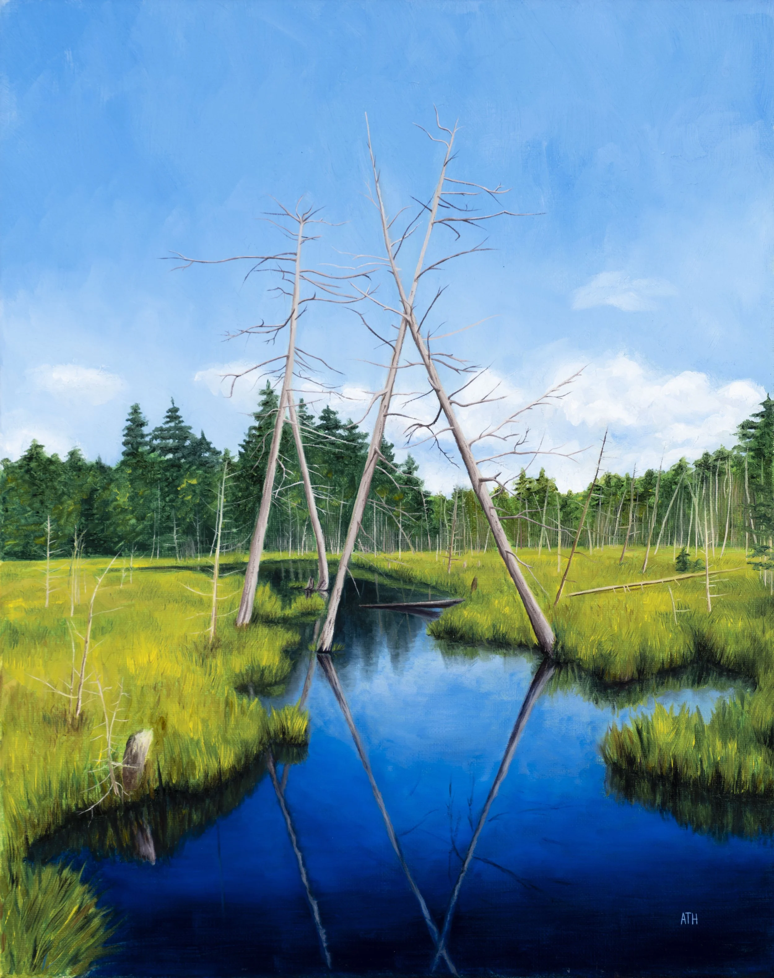 Maine Marsh (lower quality).jpg