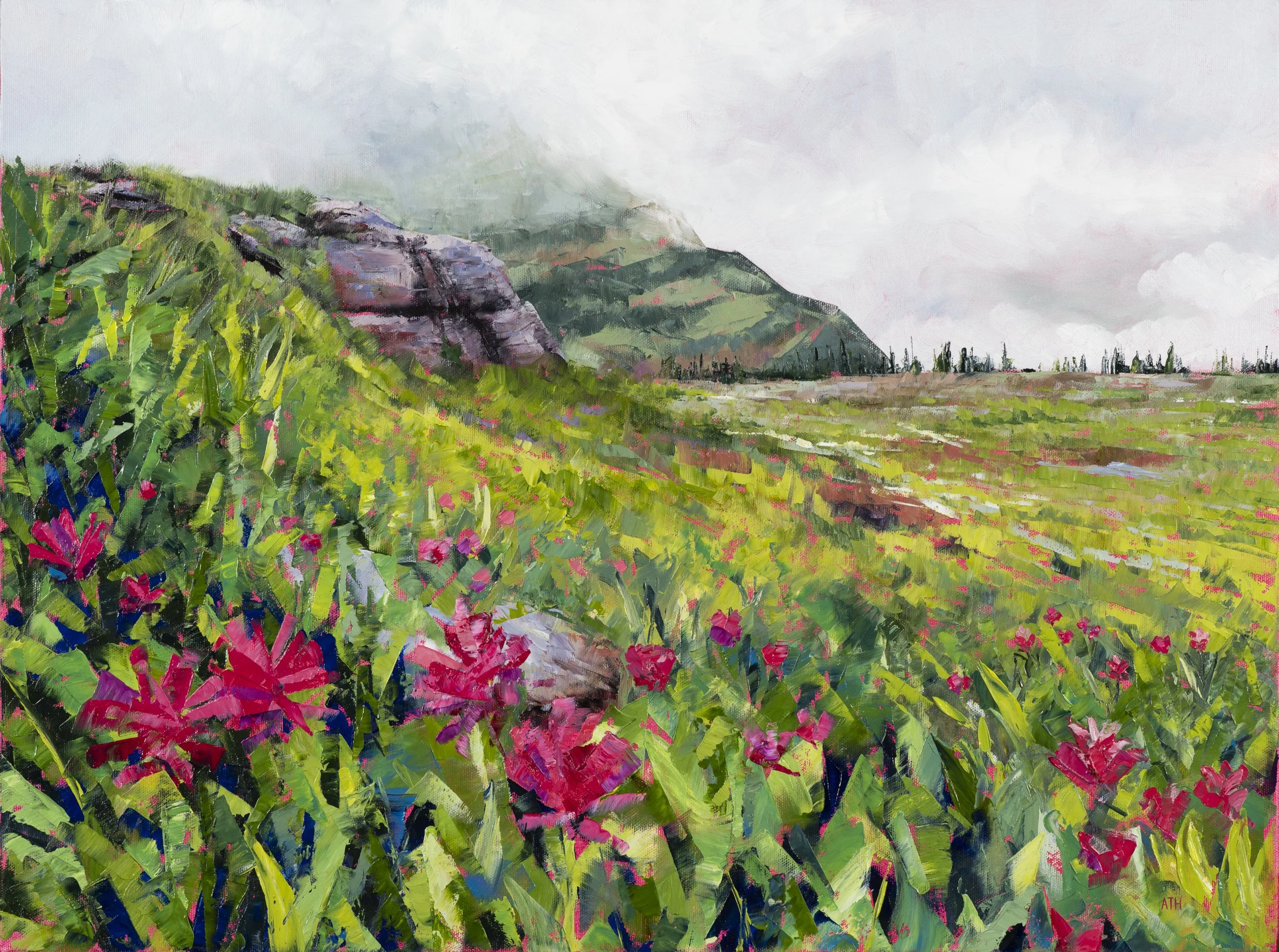 Glacier NP Mountain Meadow (lower quality).jpg