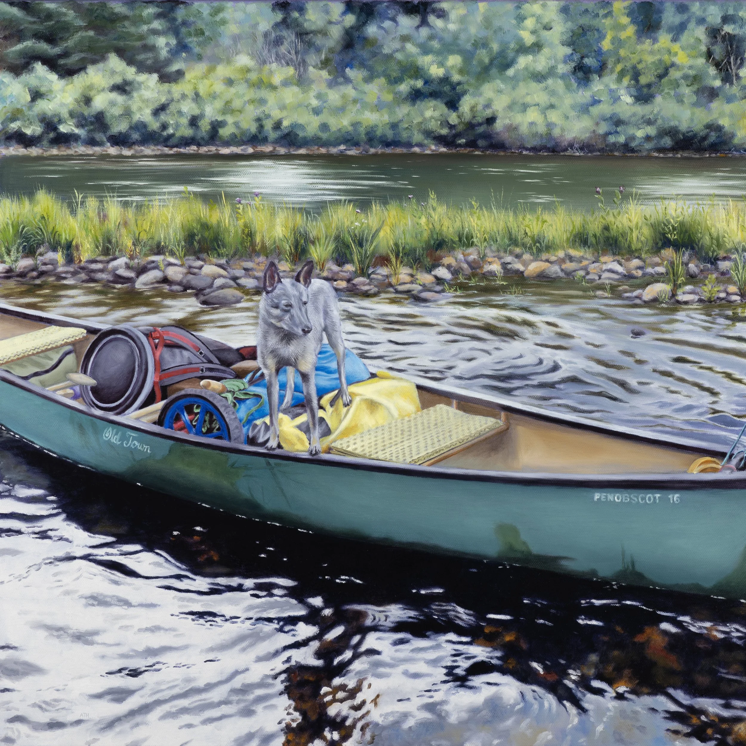 Spencer Stream by Ashley Hyatt 2.jpg