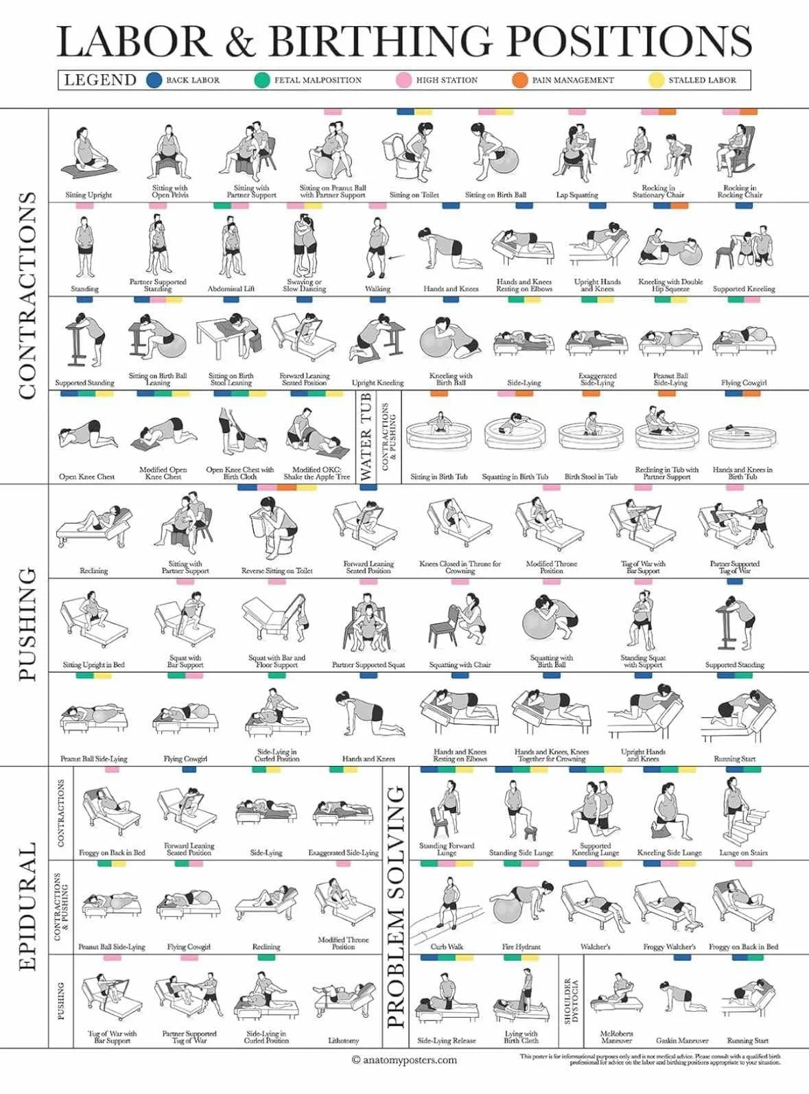 Labor & Birth Positions