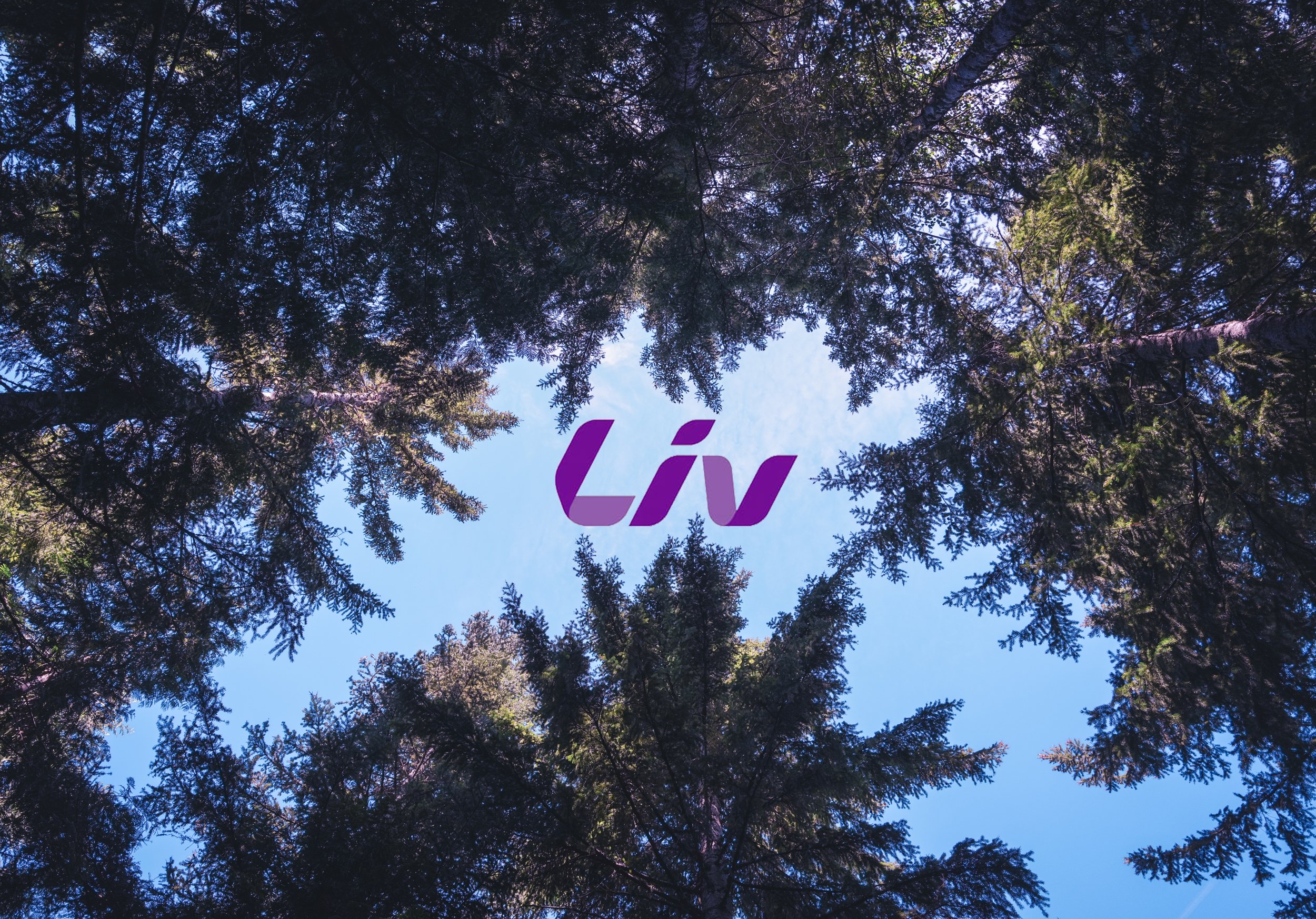 LIV Woman's only A-Line
