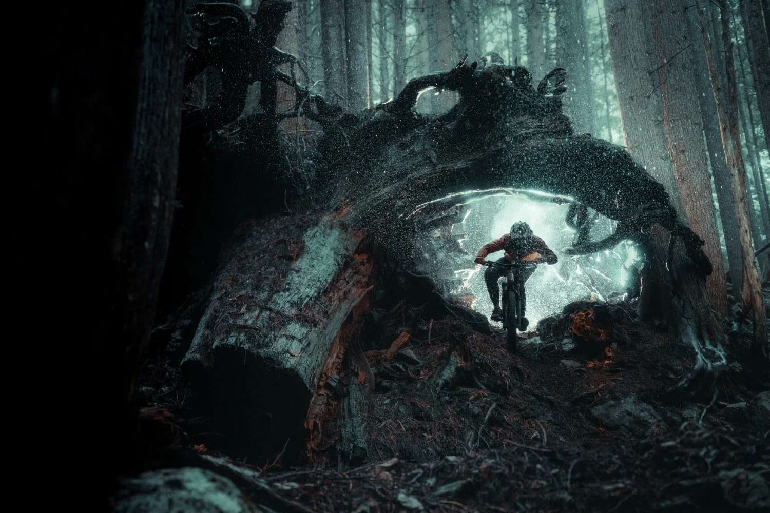 Winning the 2025 Mark Gunter Photography Awards: My Journey to First Place in the Amateur Category