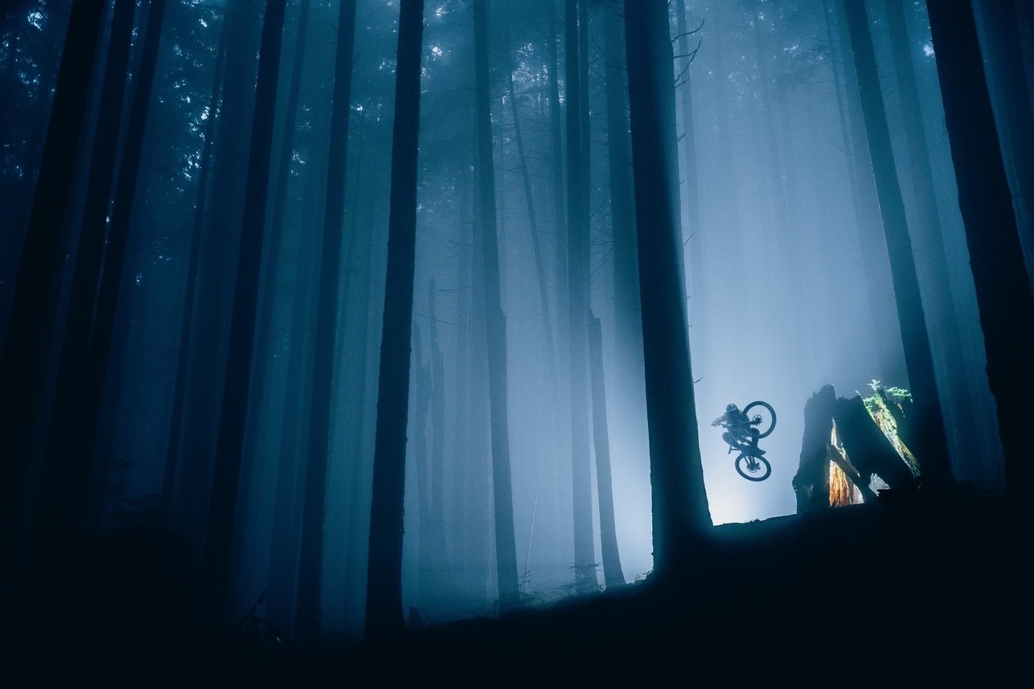 Best Cameras for Action Sports Photography in 2026