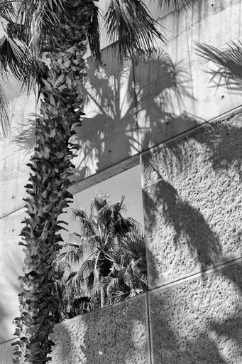 The Psychology of Black and White Photos: Why Monochrome Moves Us