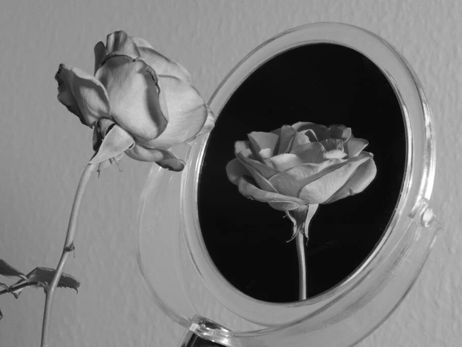 9 Photography Composition Rules Every Photographer Should Know