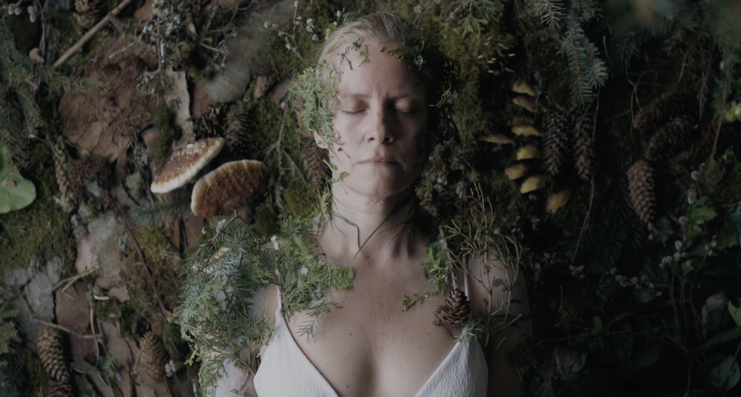 Screenshot 2024-11-11 at 20.18.26.png