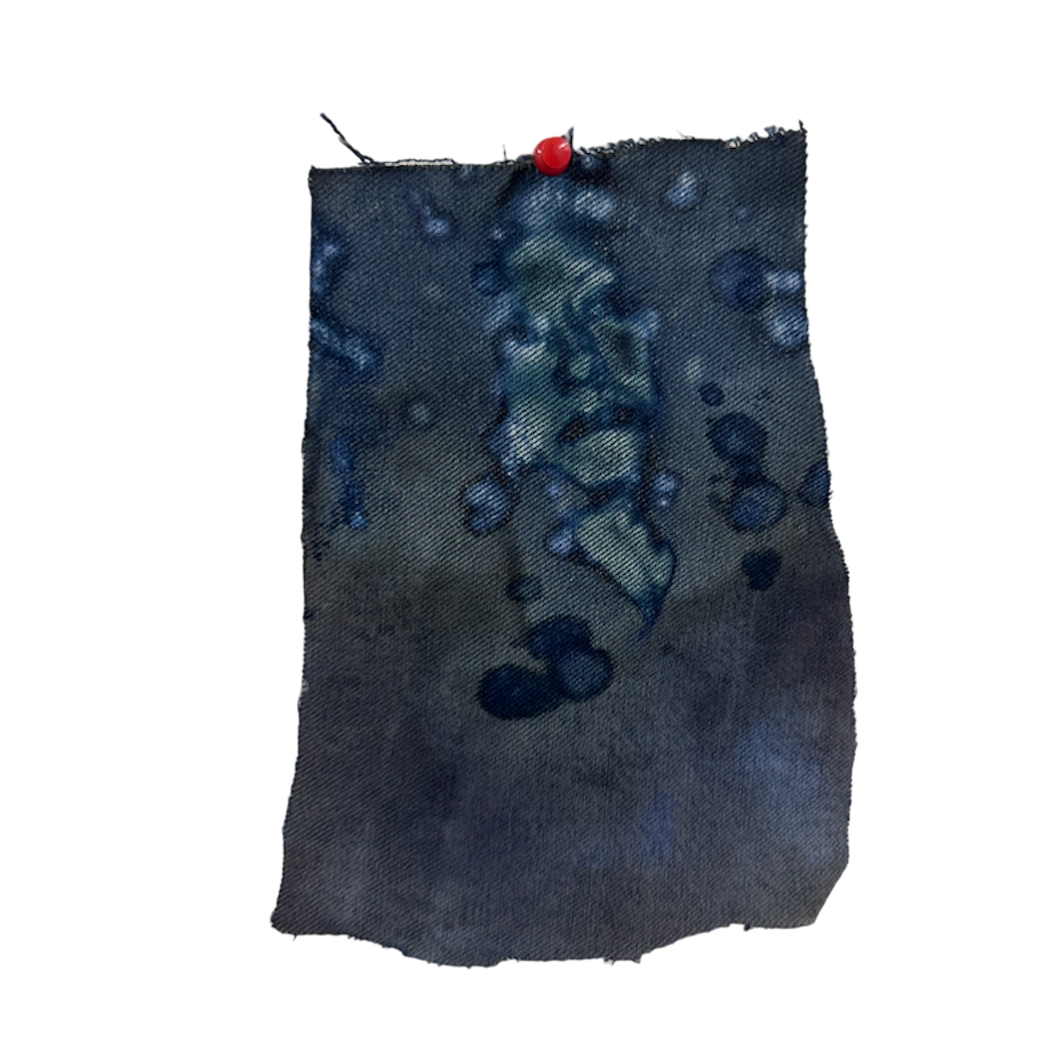 IMAGE WEBSITE.png
