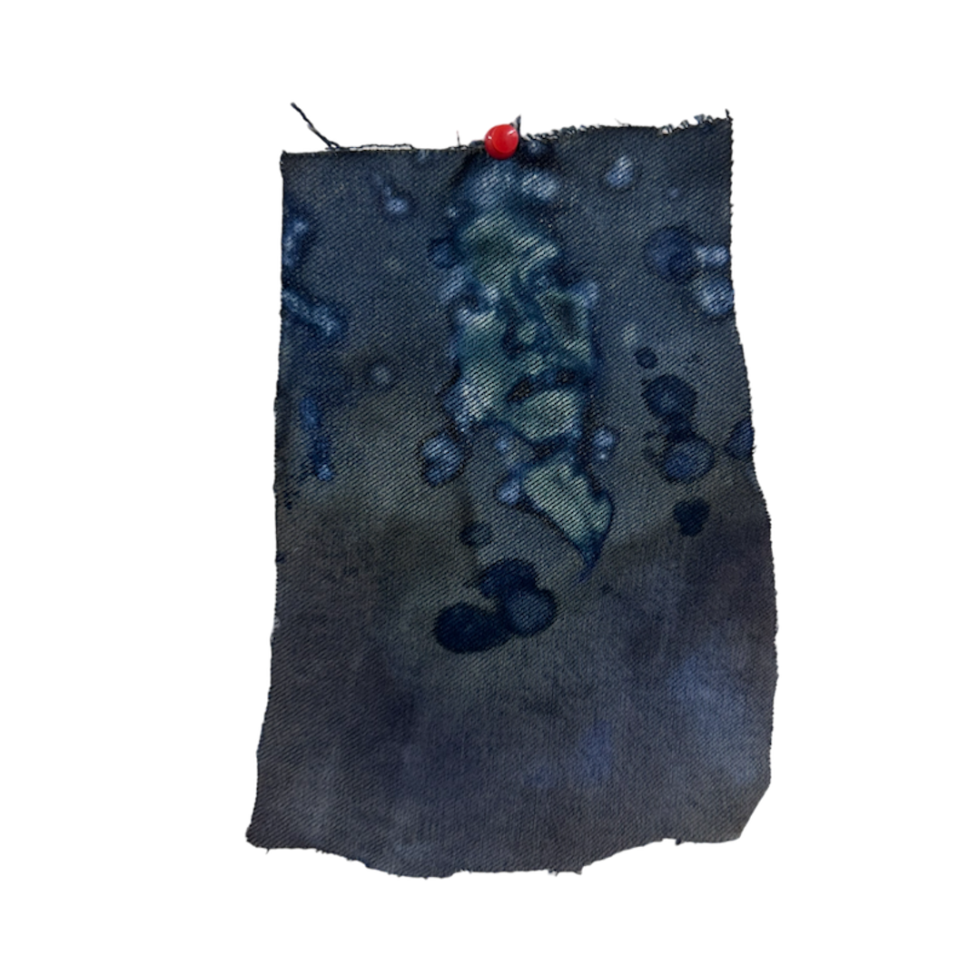 IMAGE WEBSITE.png