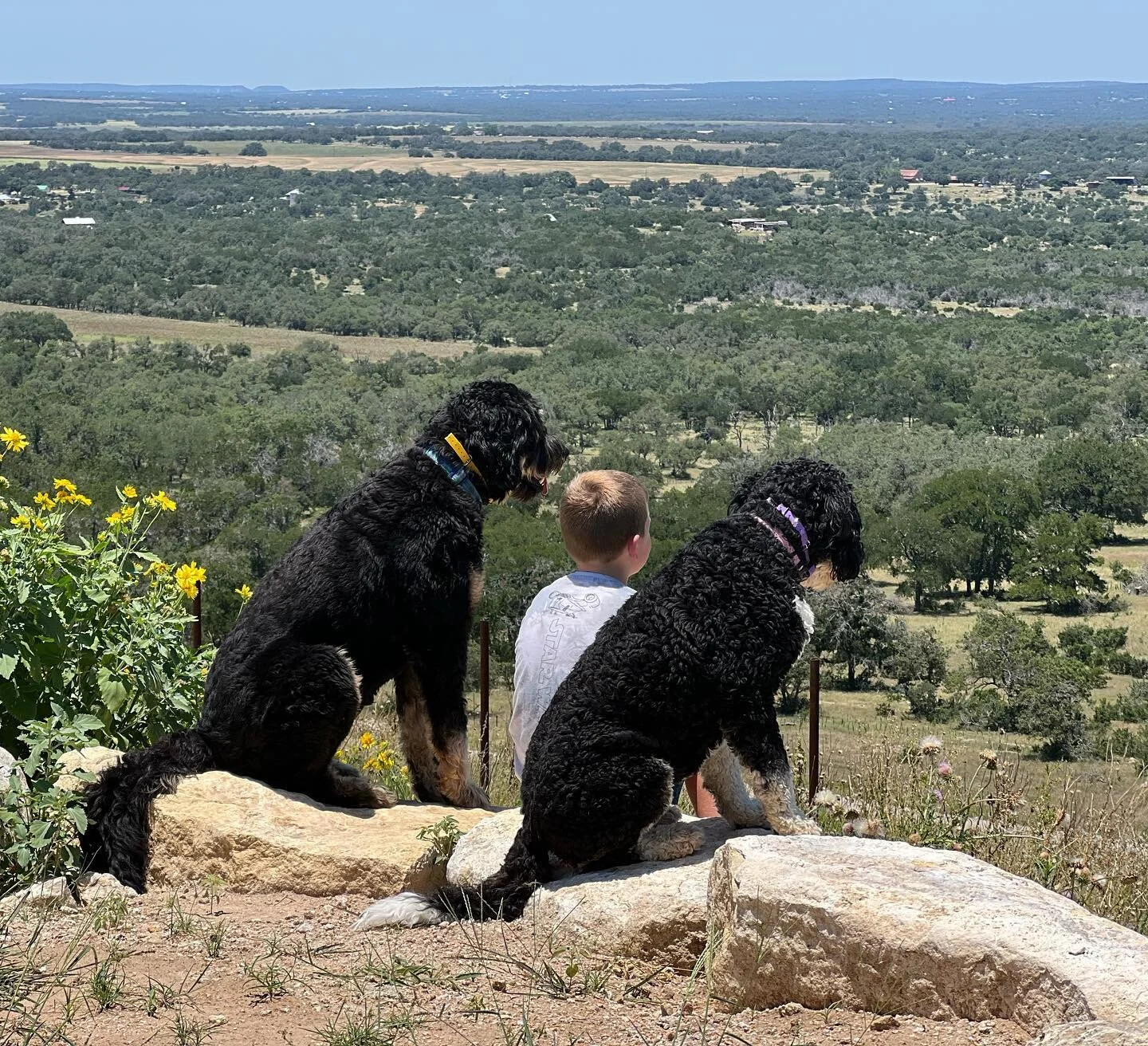 Point of view. So easy to ignore or miss, yet so important in everything surrounding our lives. So easy to forget how much we control our own point of view. 

Had another beautiful weekend perched up here on the ridge seeing so many of ya taking it a