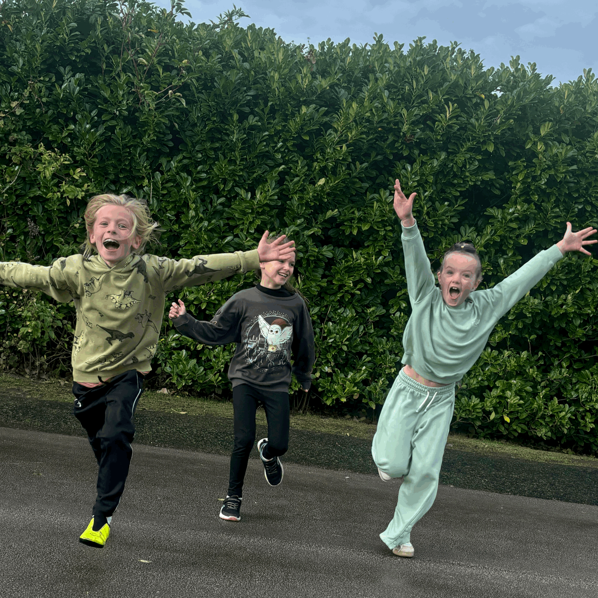 tempImageNjo1GG.jpg (Copy)