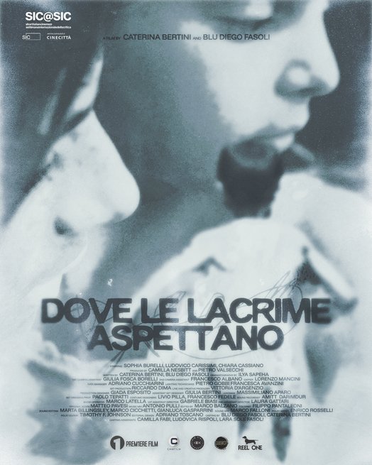 ftv45-6a9bf4b2f3c55-locandina_DLLA_1080x1350_def.jpg