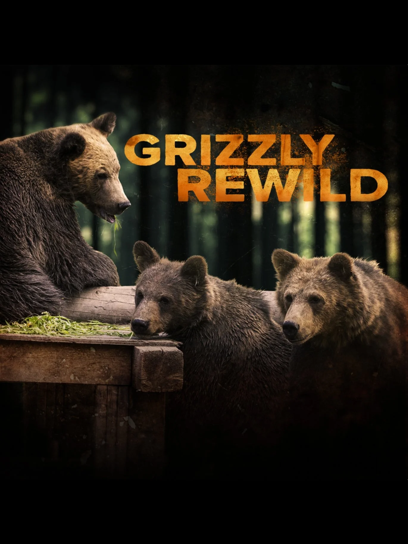 A bear with three bear cubs in a forest setting. The bear is sitting and eating greenery while the cubs are resting nearby, one on a wooden ledge and two on the ground.