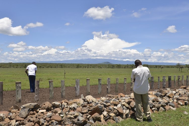   Visiting the wildlife corridors and structures that keep the rhinos safe within Ol Pejeta;  