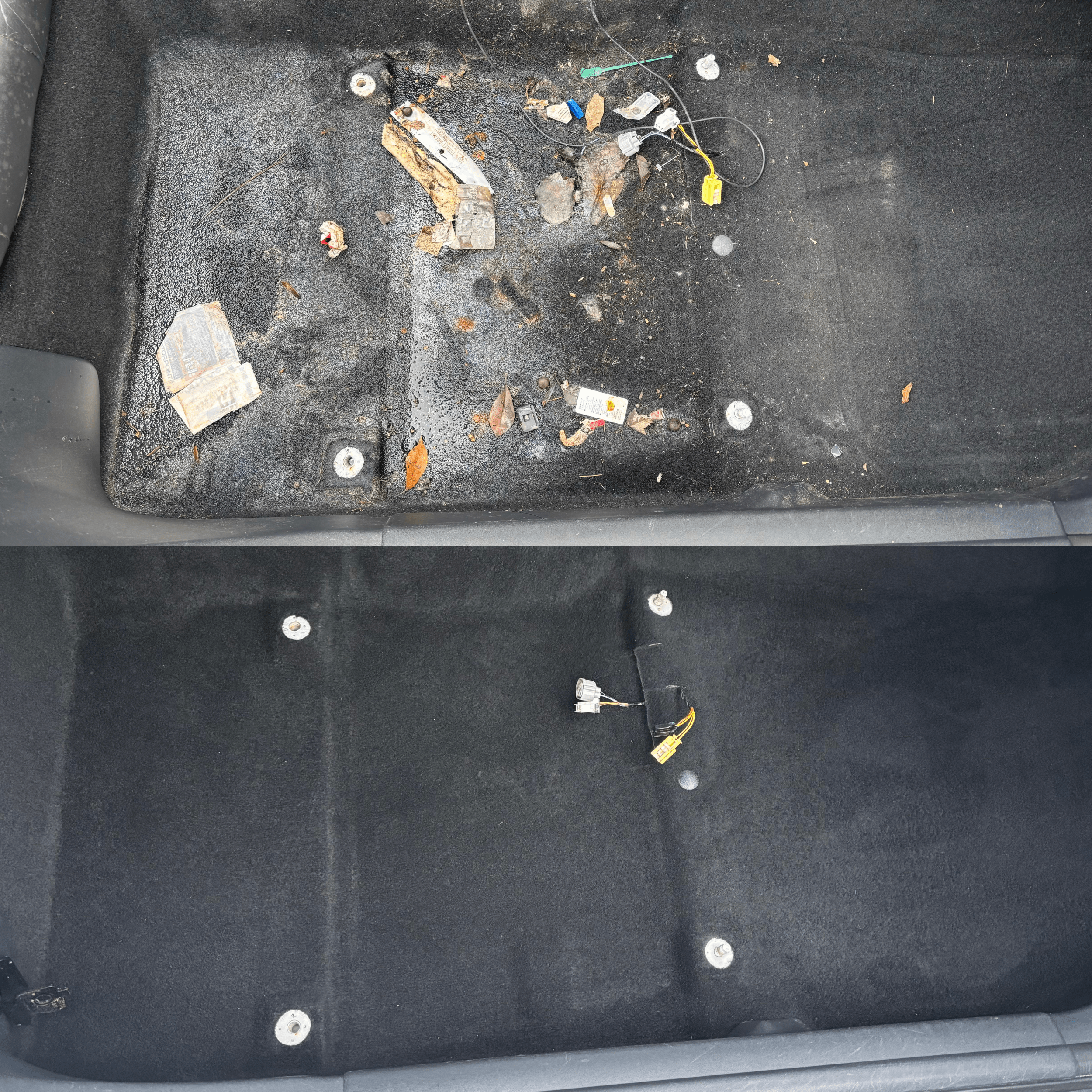 Untitled design copy 2-min.png