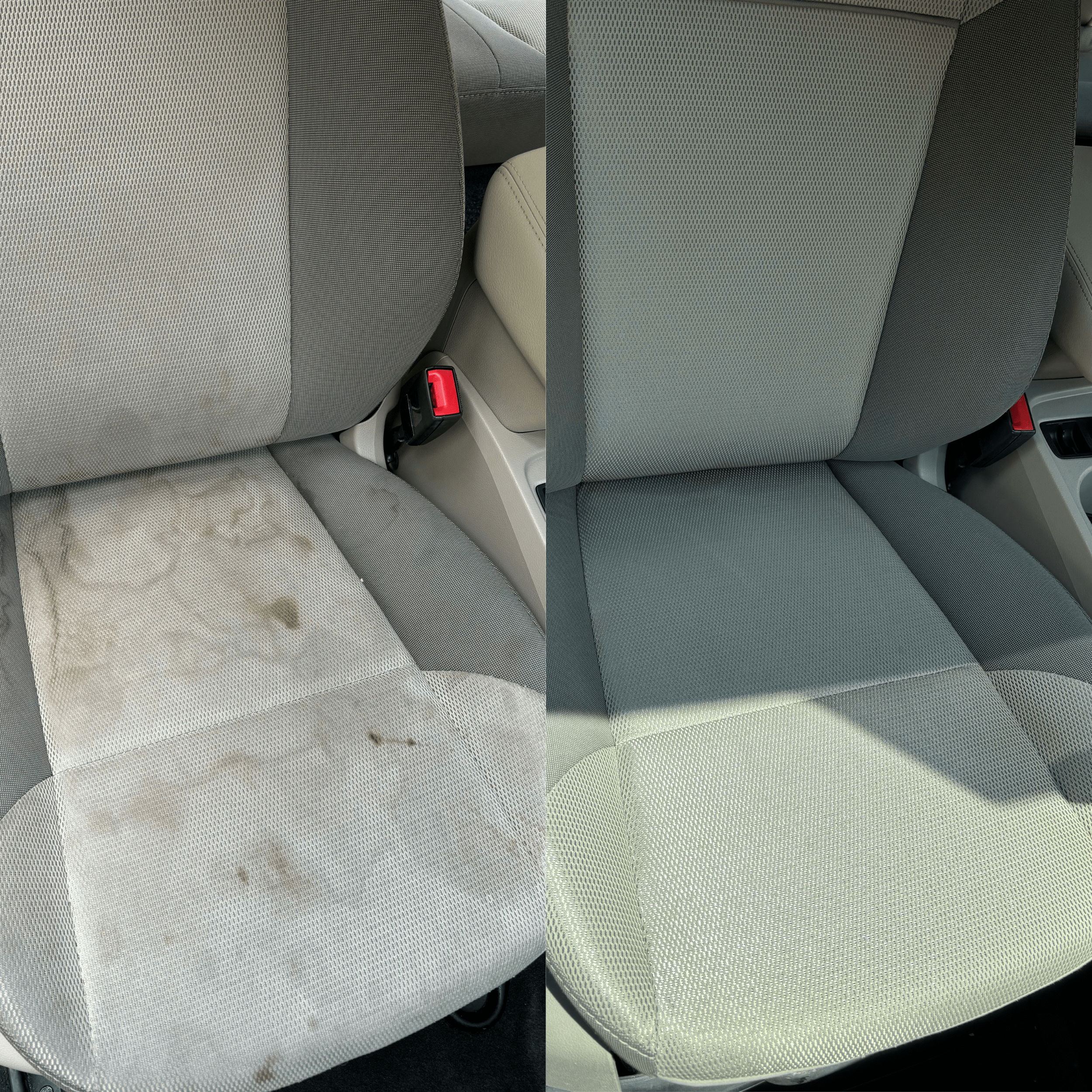 Untitled design copy-min.png