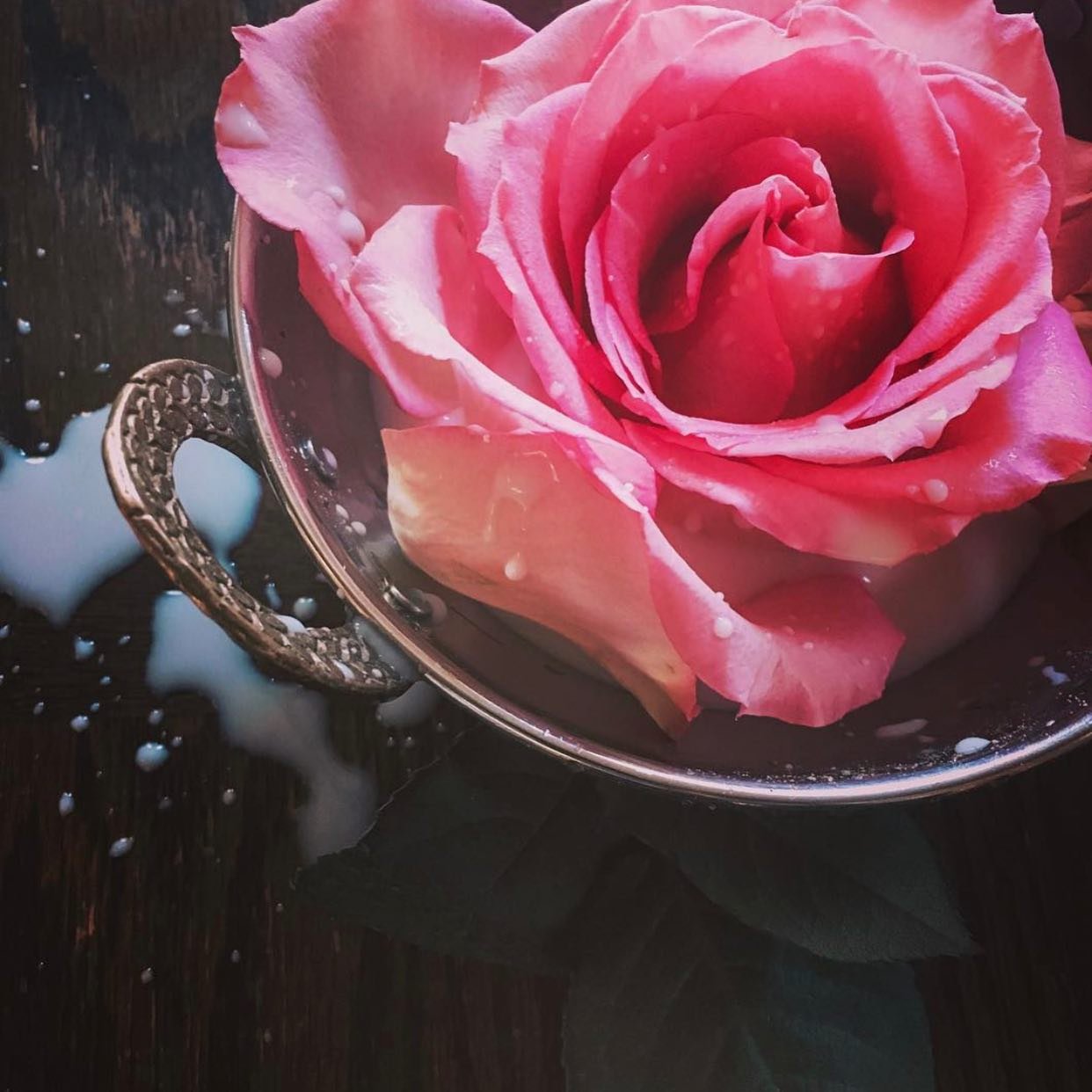 Sacred Feninine Healing 