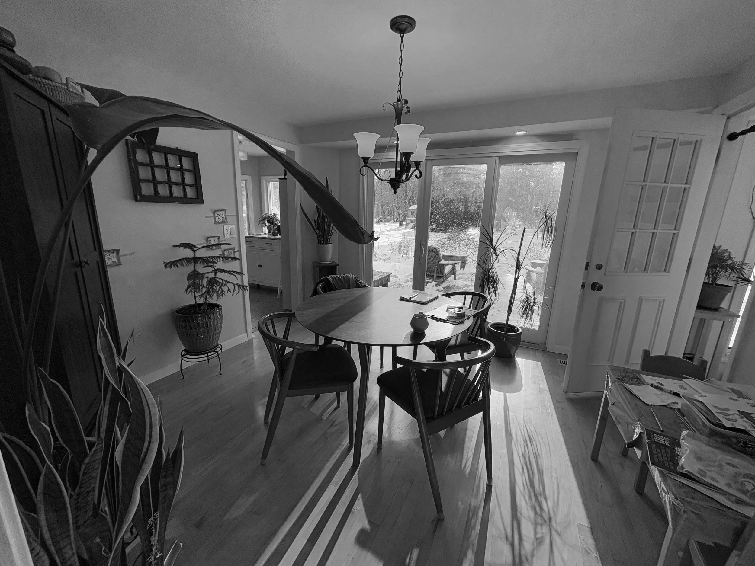 BEFORE: dining room