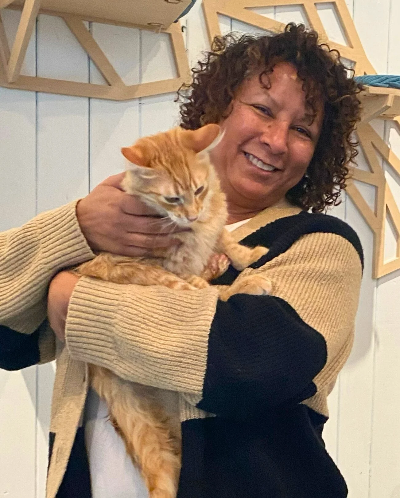 cheddar2 - Edited - Edited - Edited (1).jpg