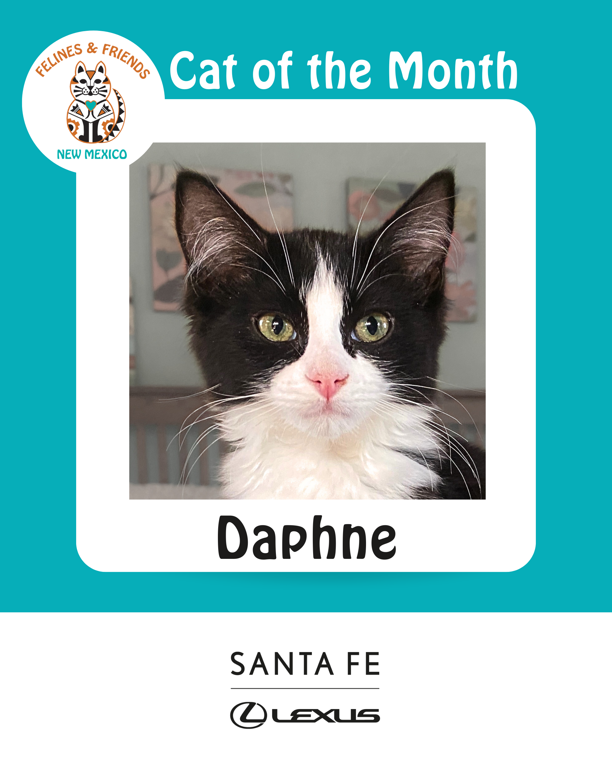 Daphne