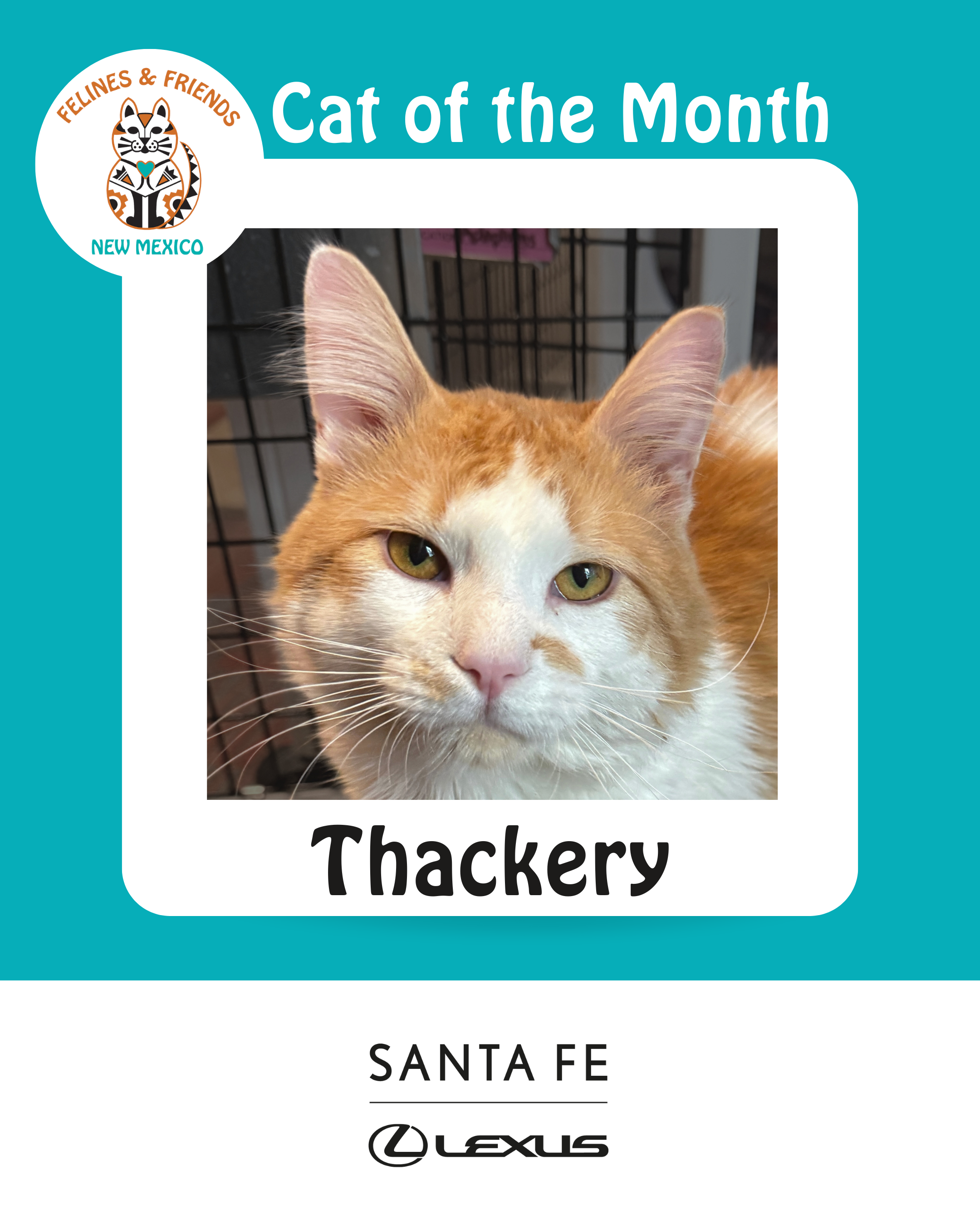 Thackery