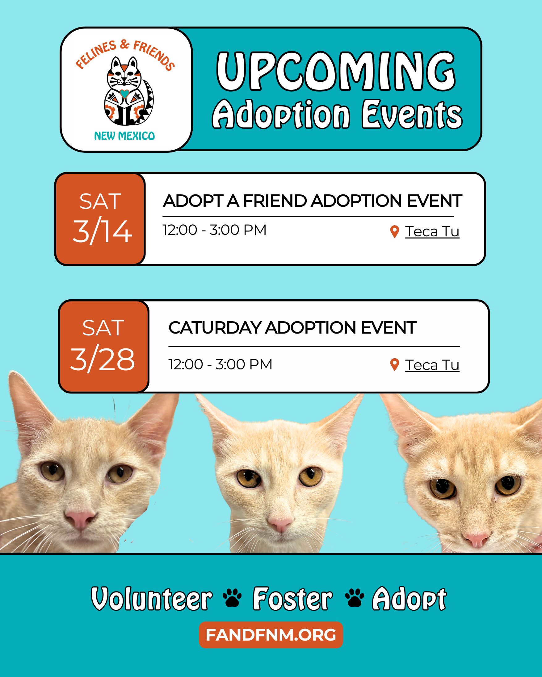 Teca Tu Adoption Events