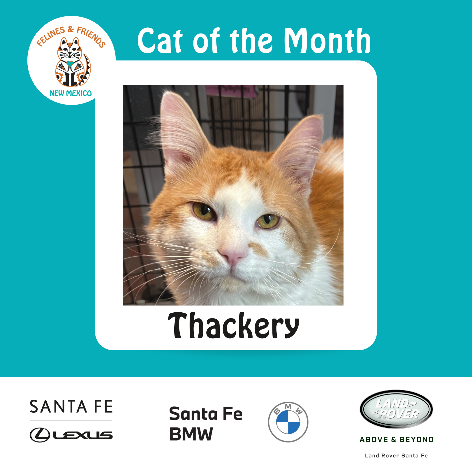Thackery