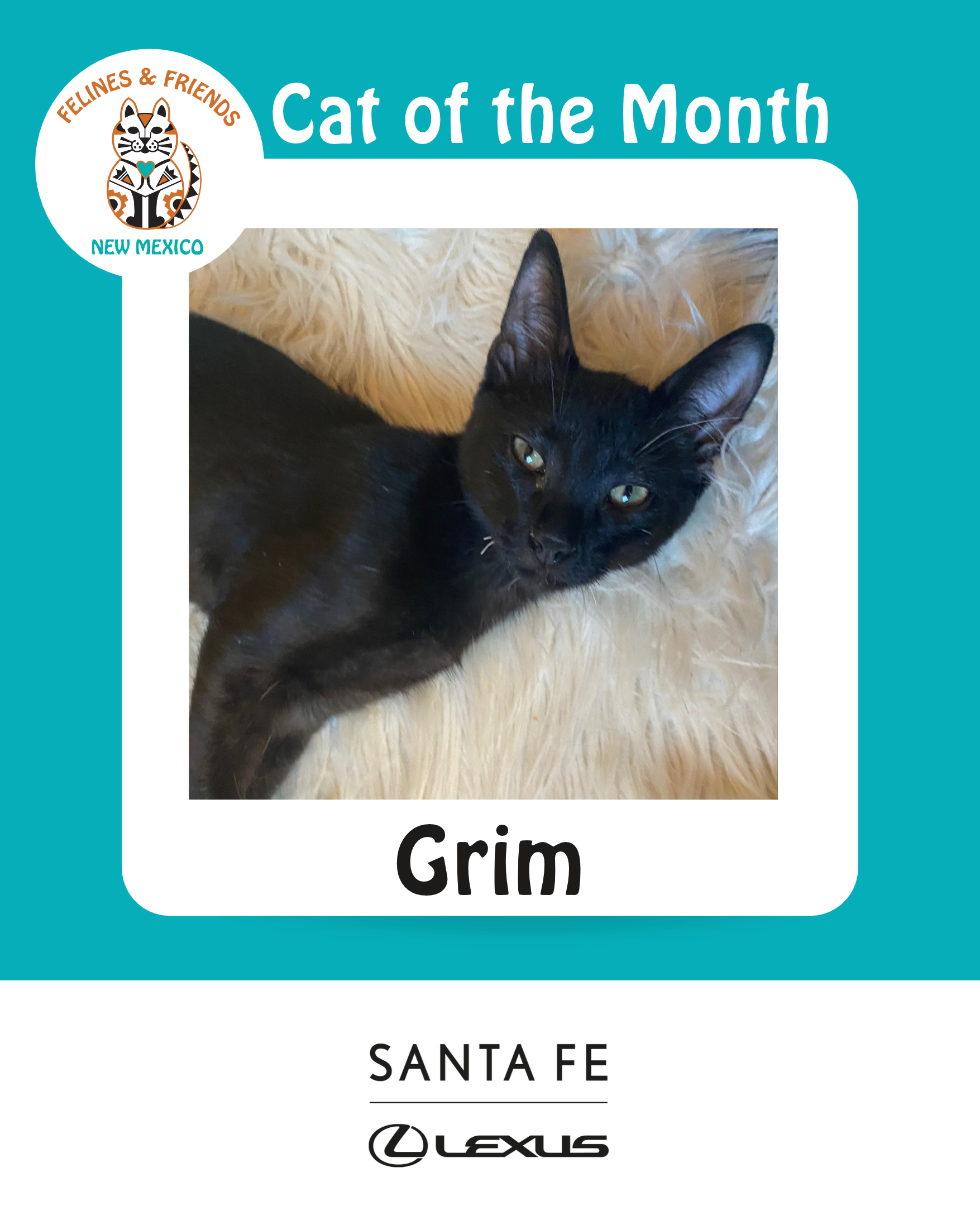 Grim