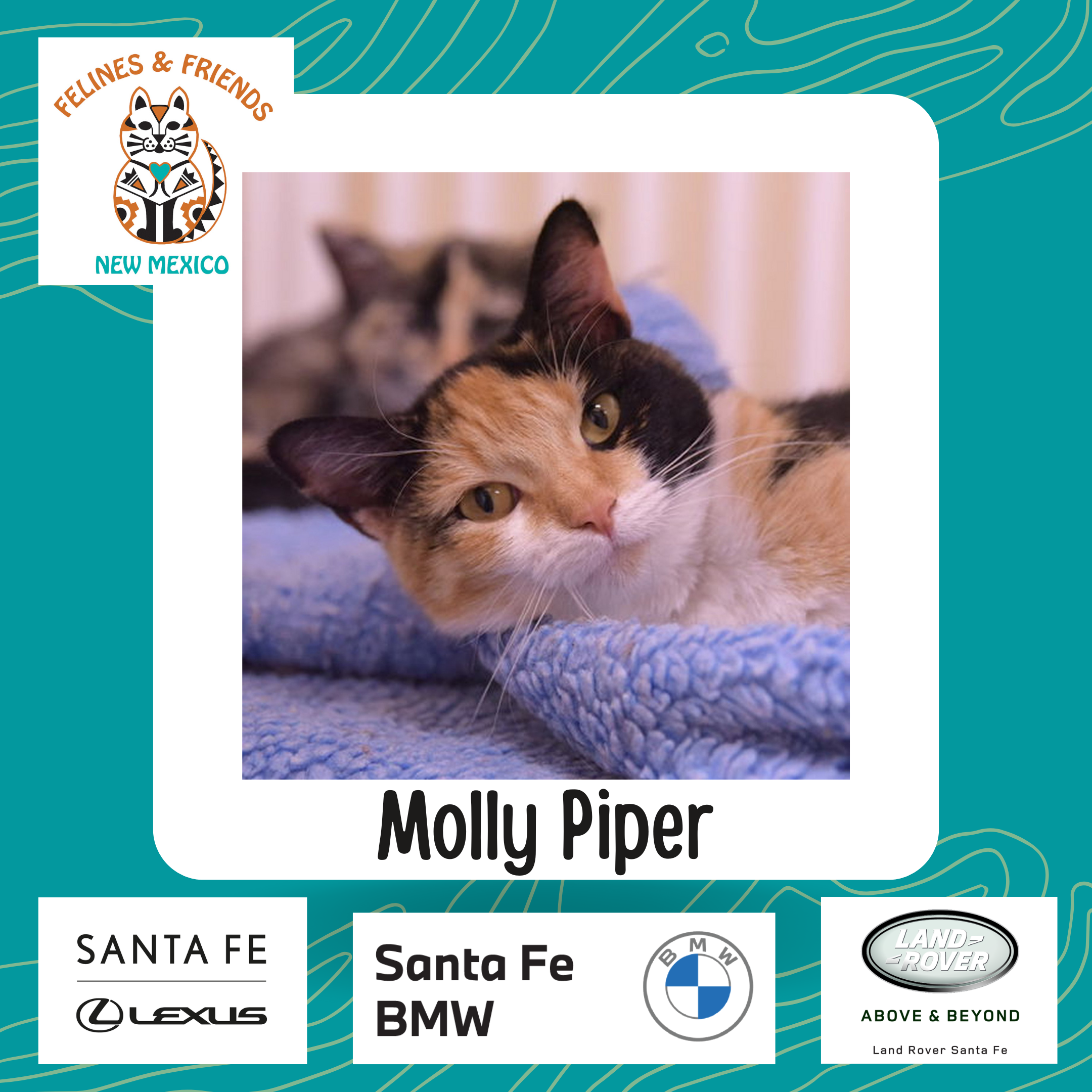 Molly Piper