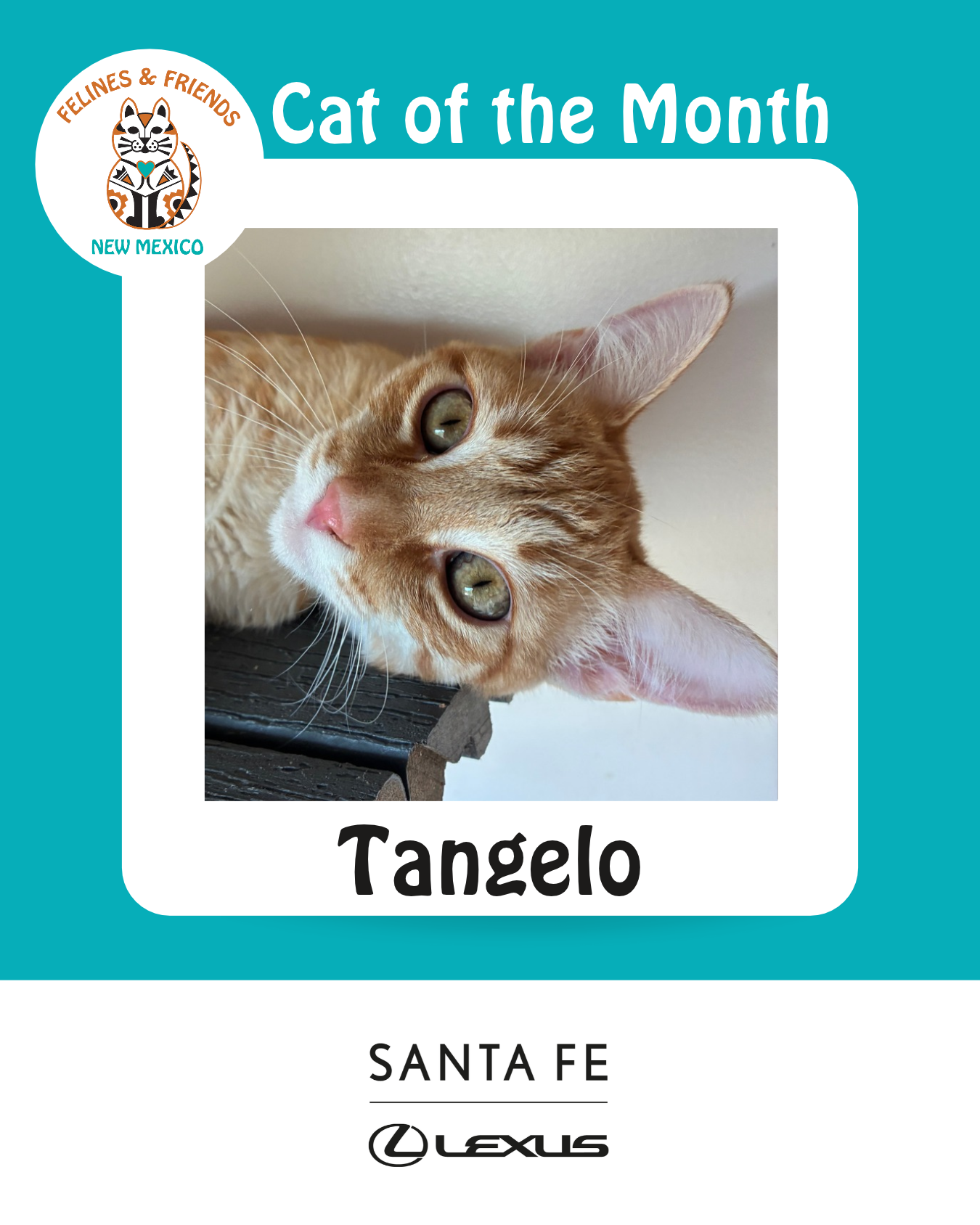 Tangelo