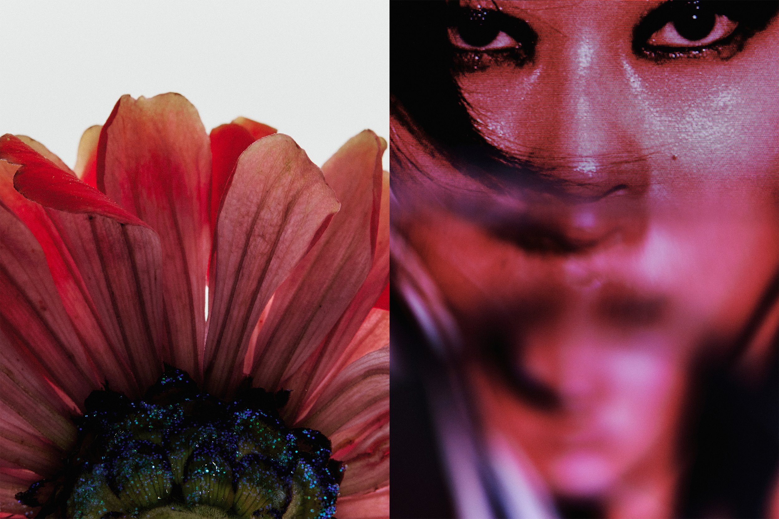 SB-8.jpg