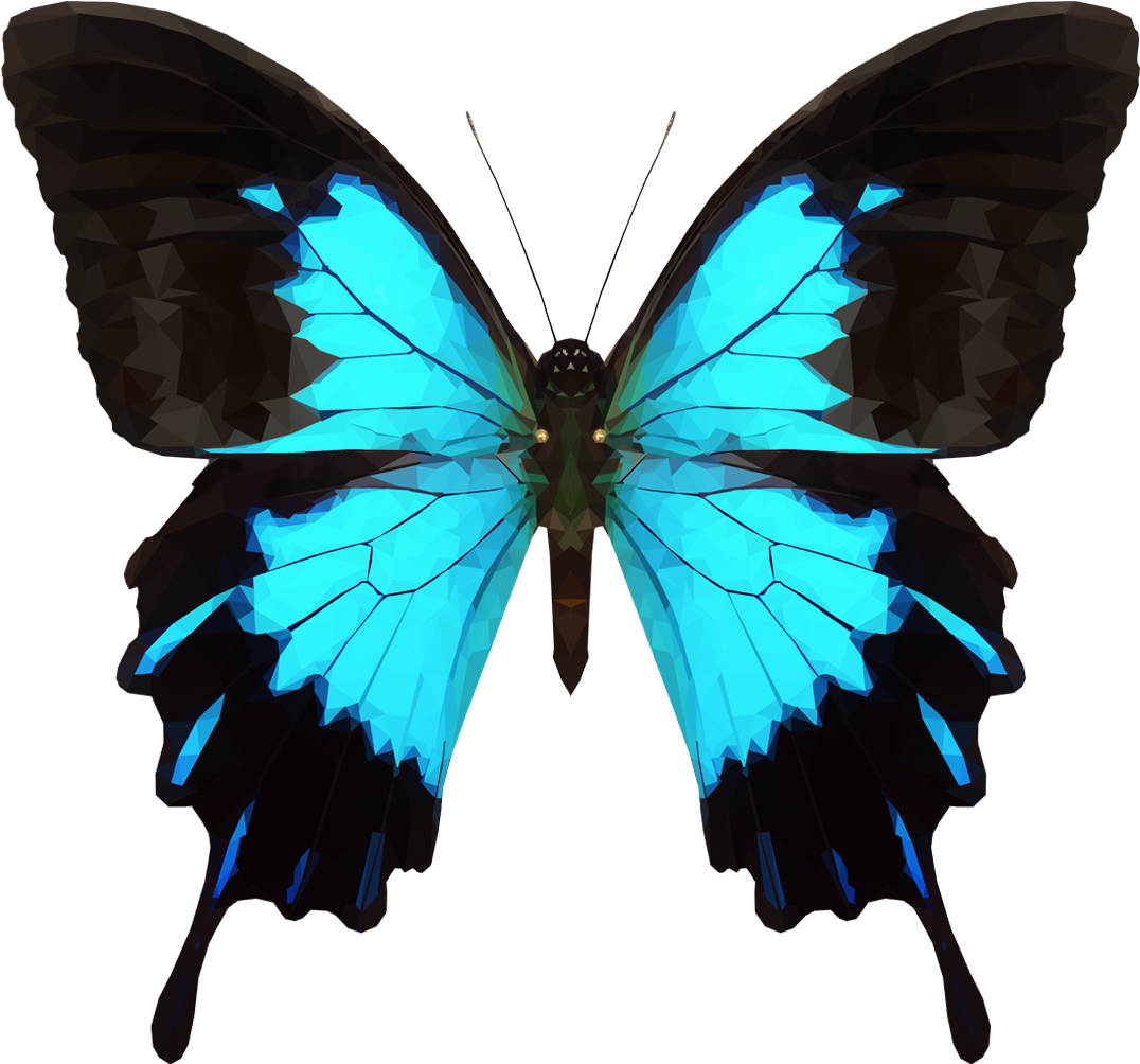 Butterfly Effect Counseling, LLC