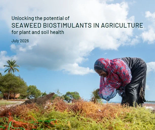 New Global White Paper Highlights the Growing Potential of Seaweed Biostimulants