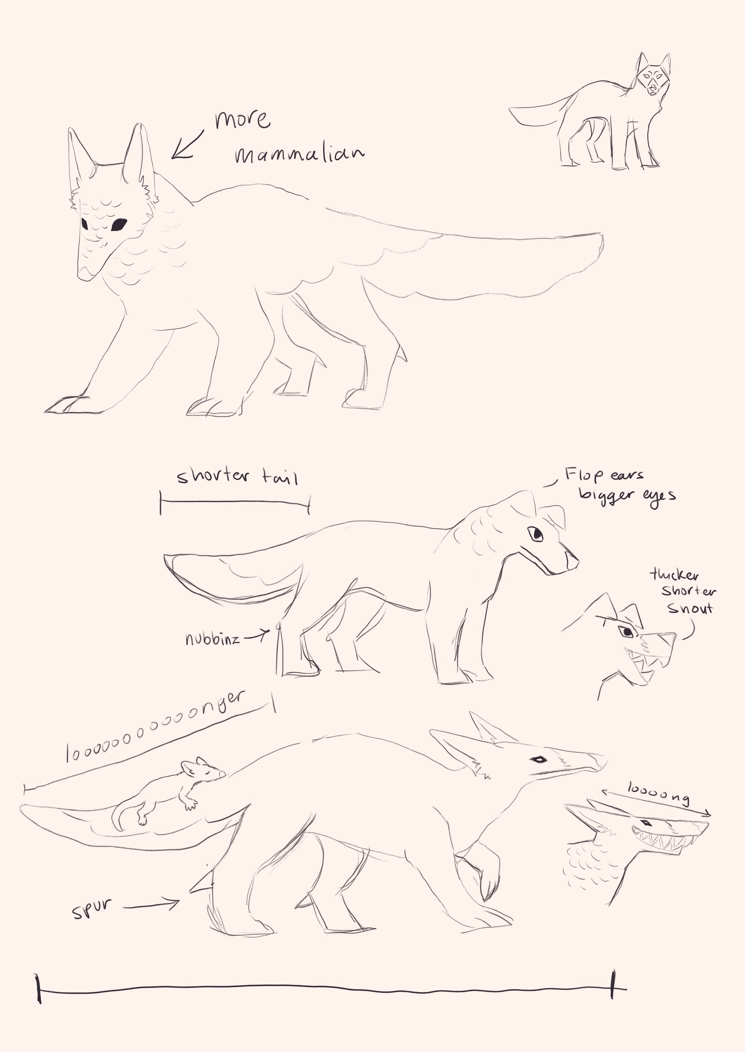 SAND - Travel Guide - Scaled Wolf Roughs.jpg