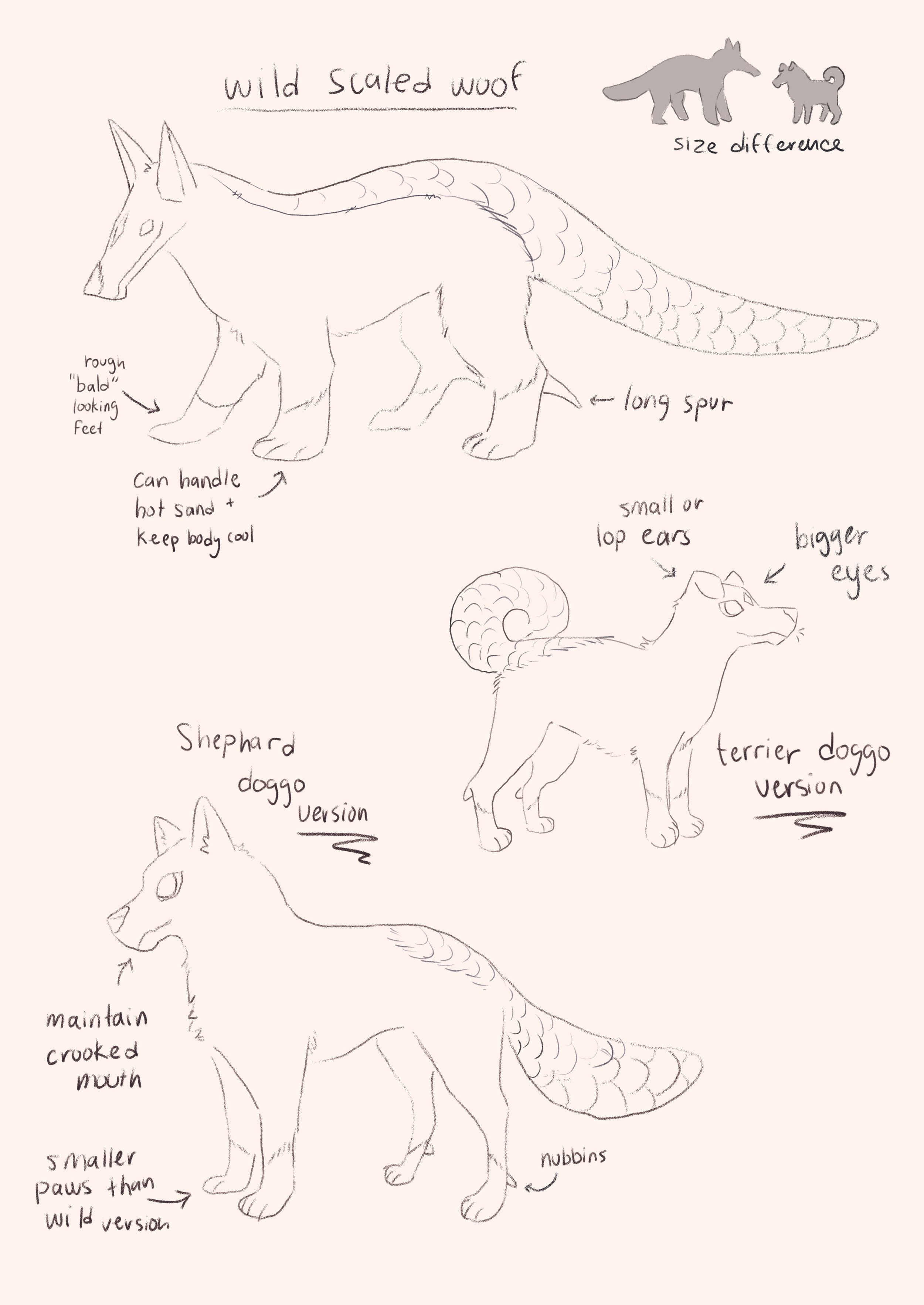 SAND - Travel Guide - Scaled Wolf.jpg