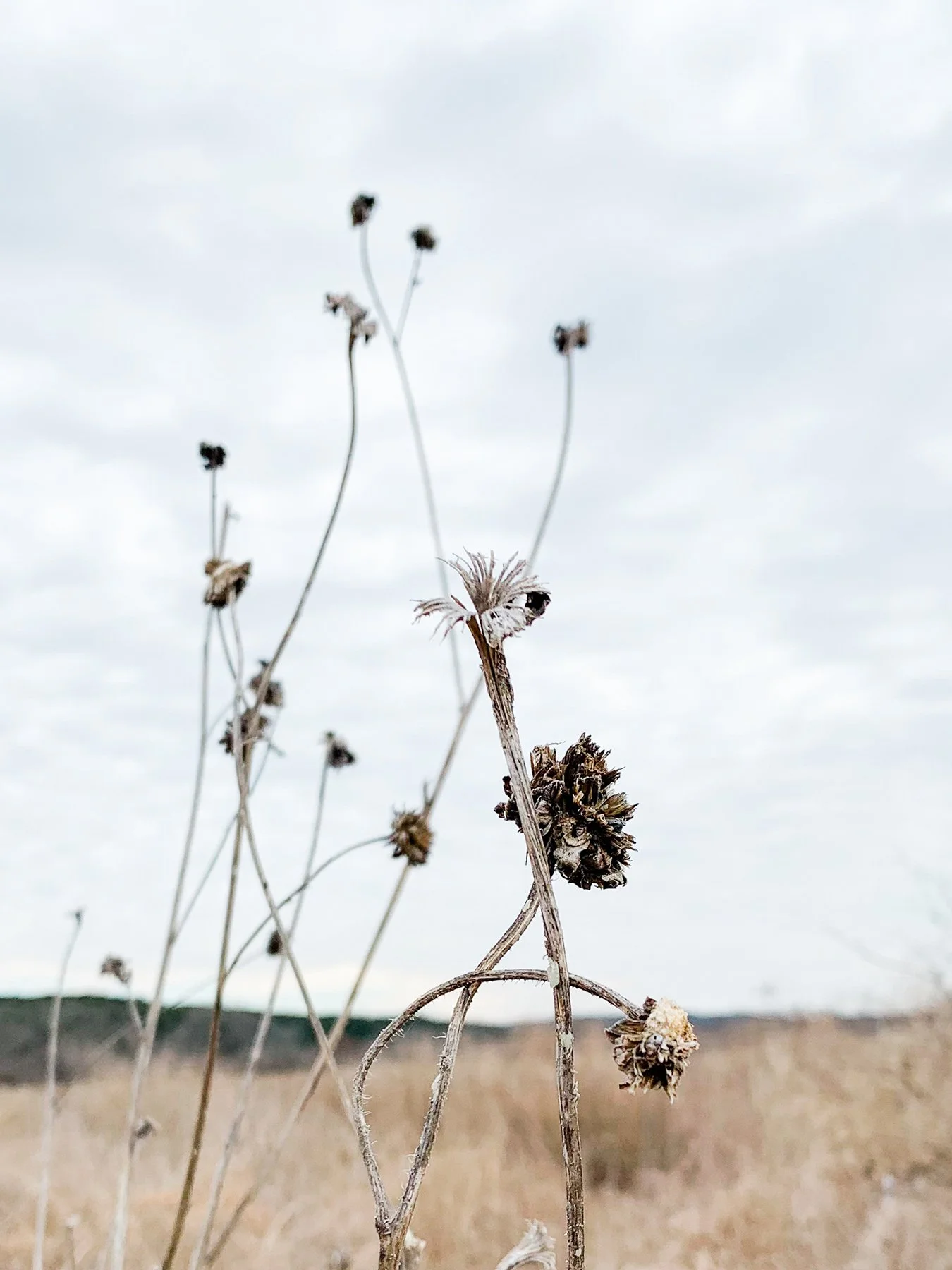 "I Can't Do This" — And Other Lies Your Brain Tells You