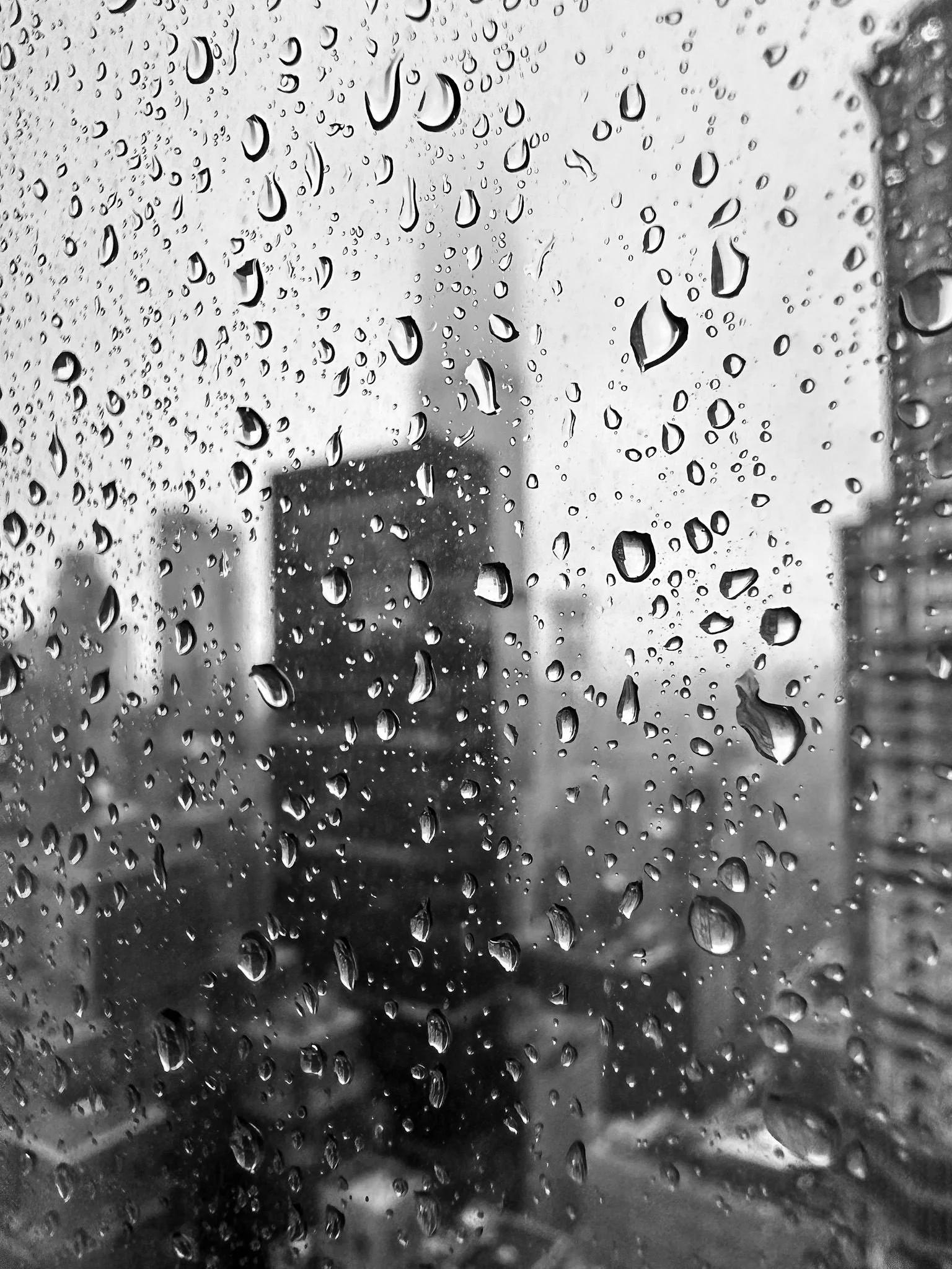 What If We Treated Each Other As If We Were All Traumatized?