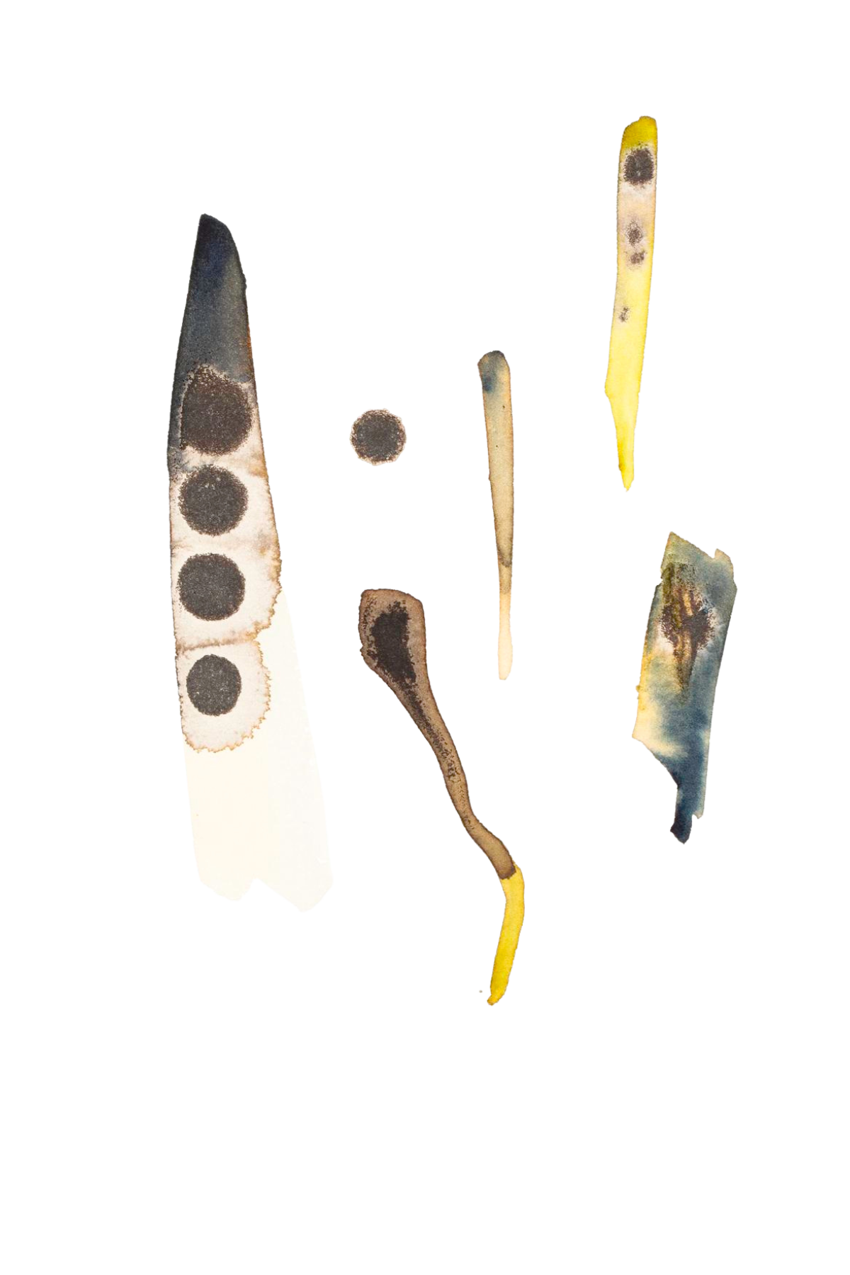 5 - Chorus